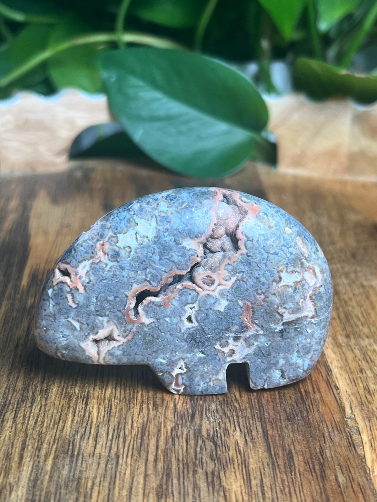 Marcasite Bear: TS