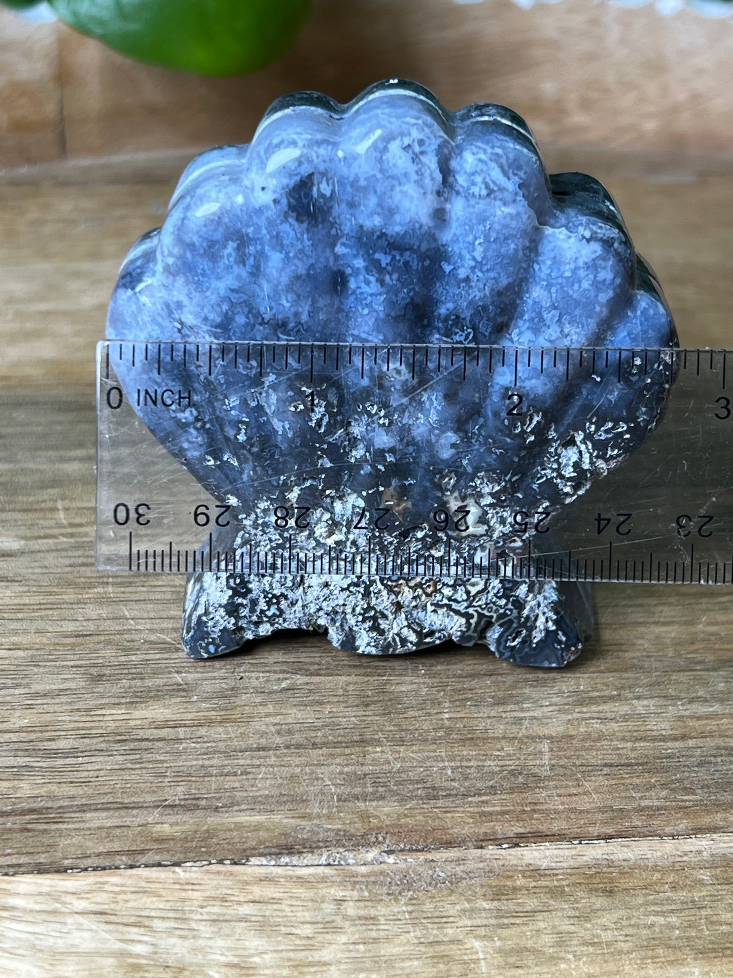 Blue Plume Agate Shell