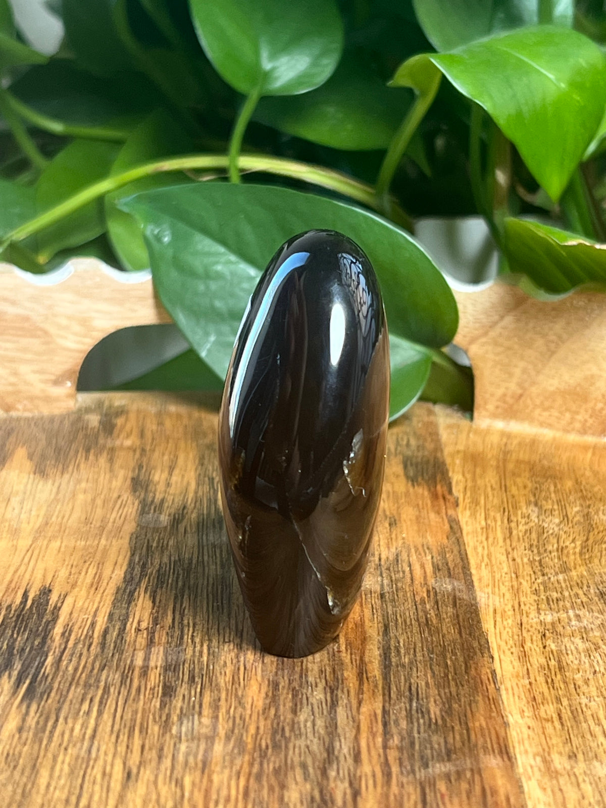 Blue Amber Freeform: Y