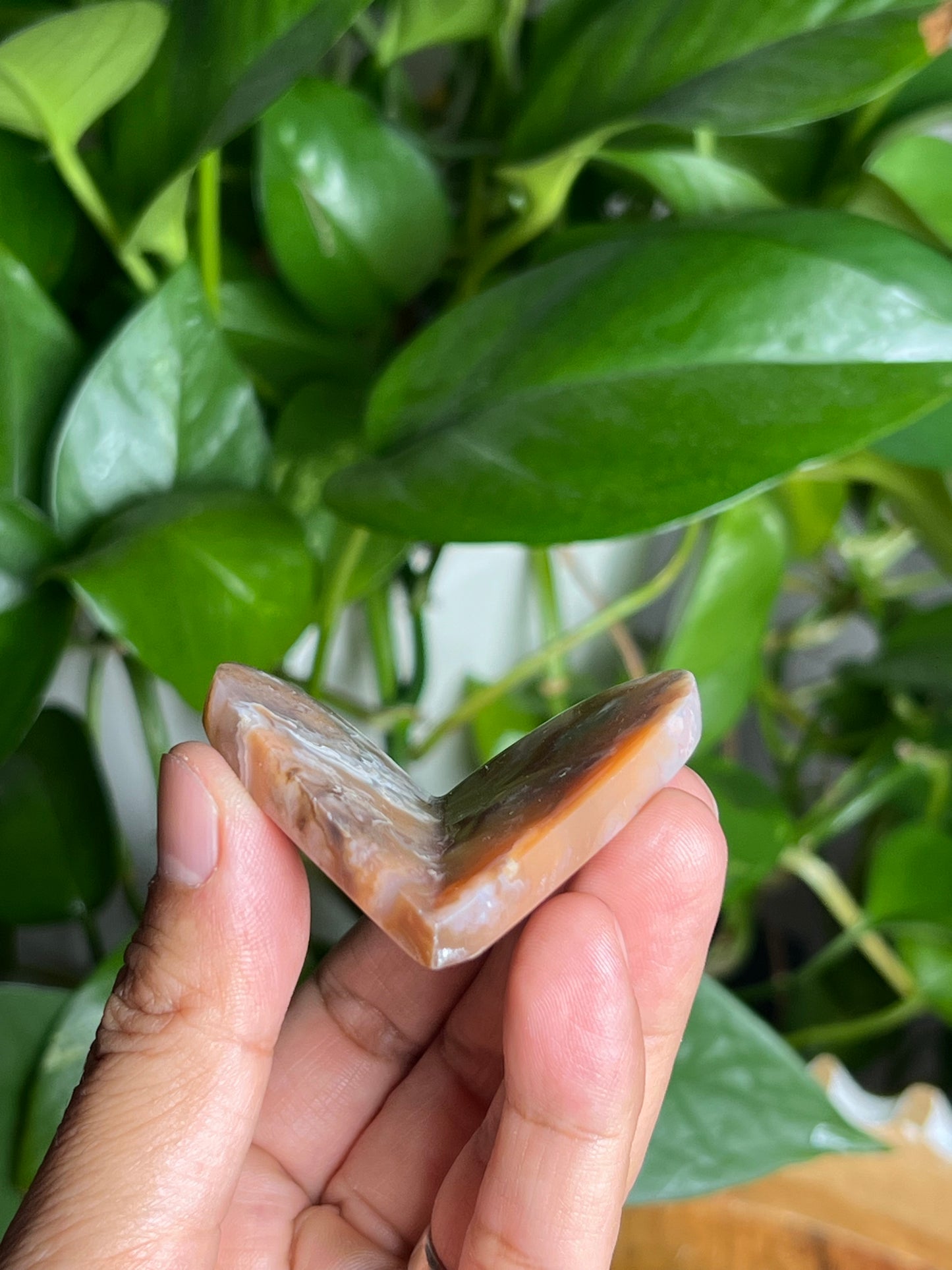 Flower Carnelian 3D Butterfly: TH