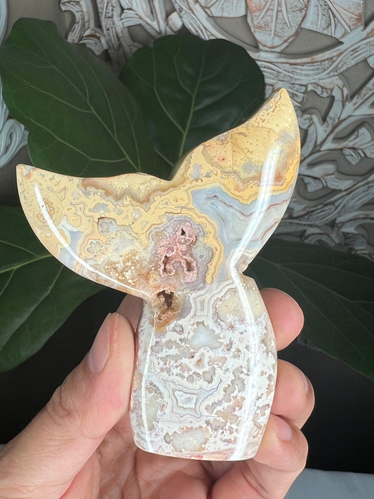 Crazy Lace Agate Tail