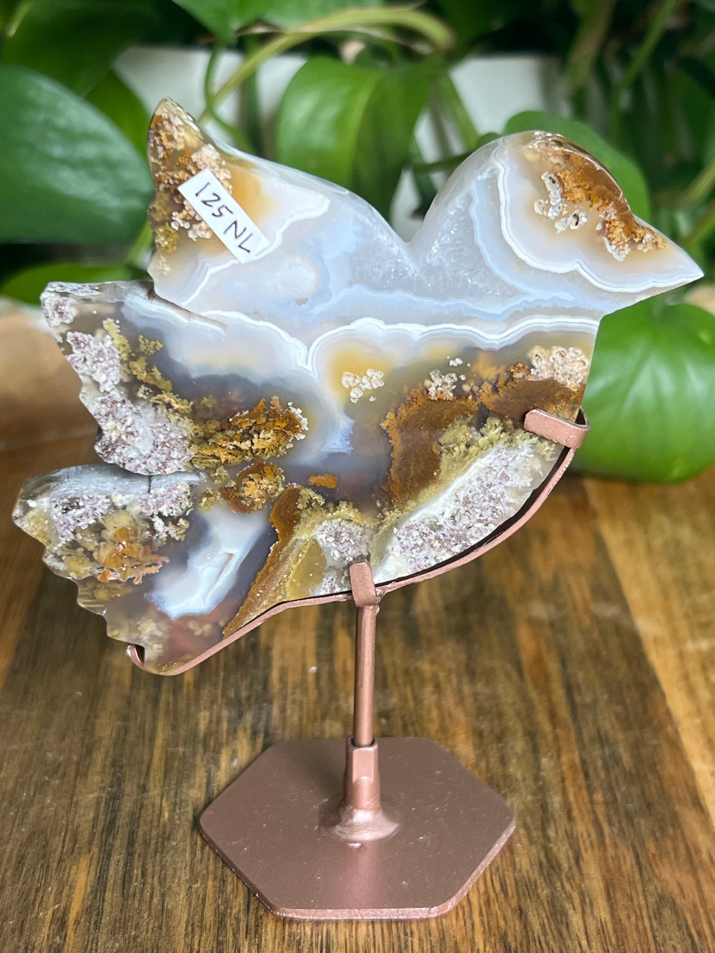 Scenic Moss Agate Bird