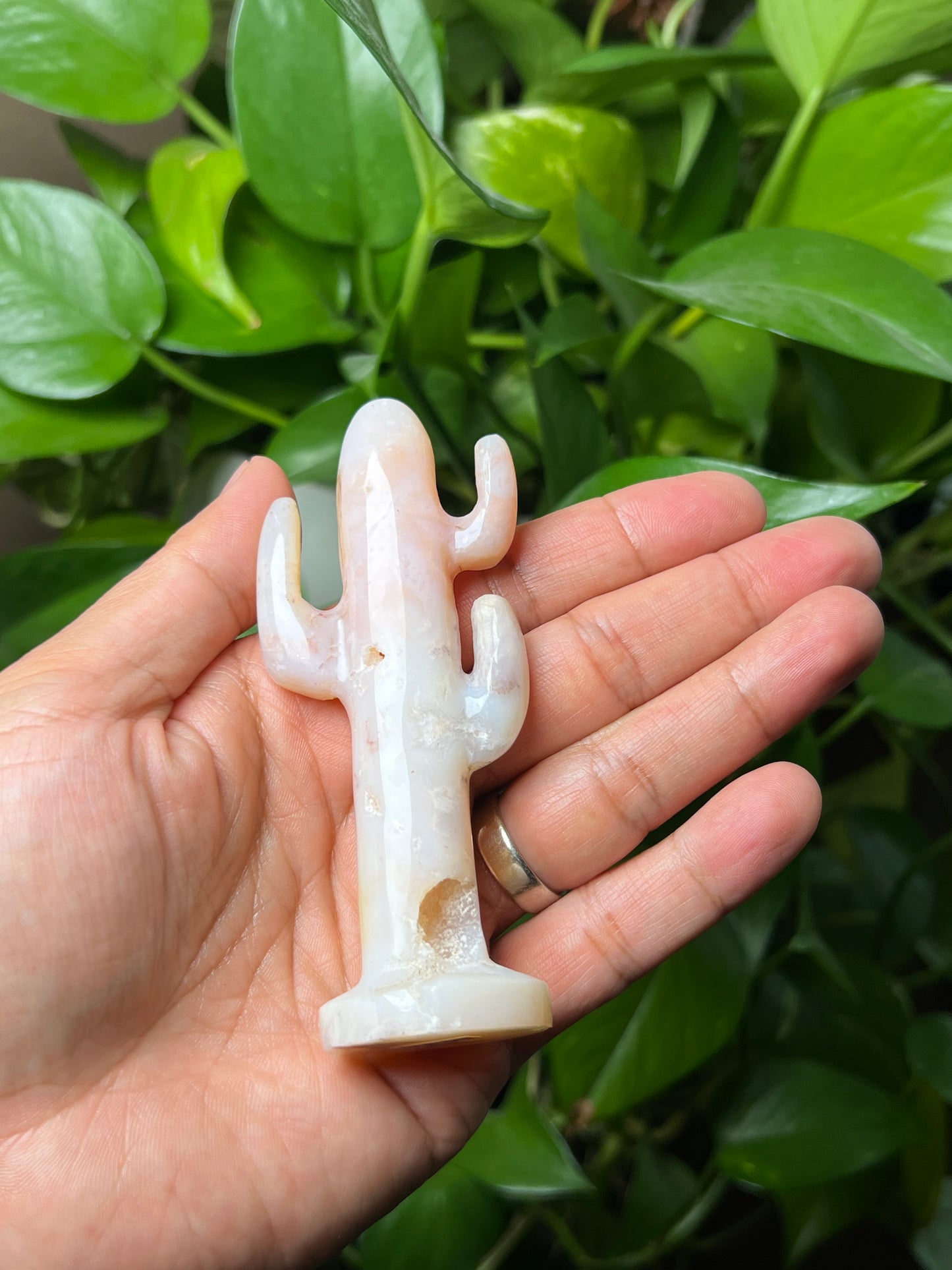 Pink Carnelian Cactus