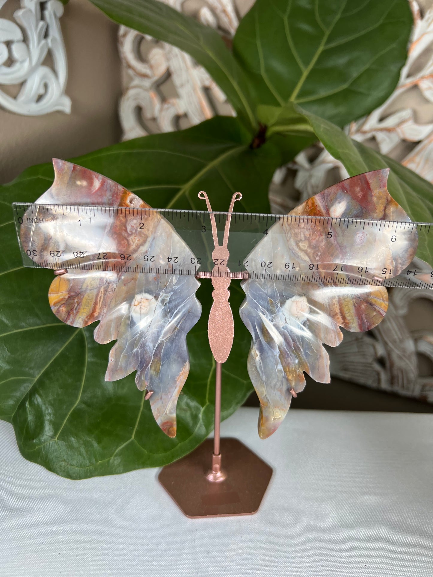 River Jasper Wings