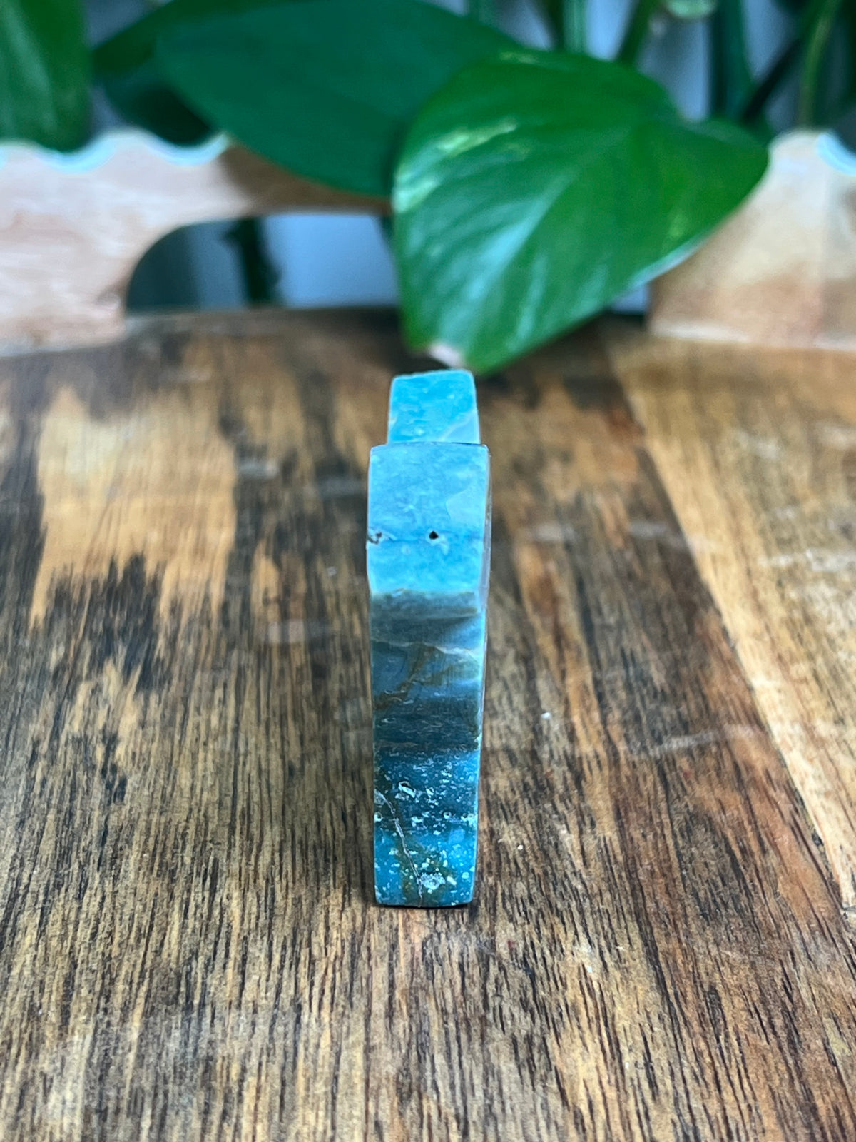 Blue Green Jasper Dog: BA