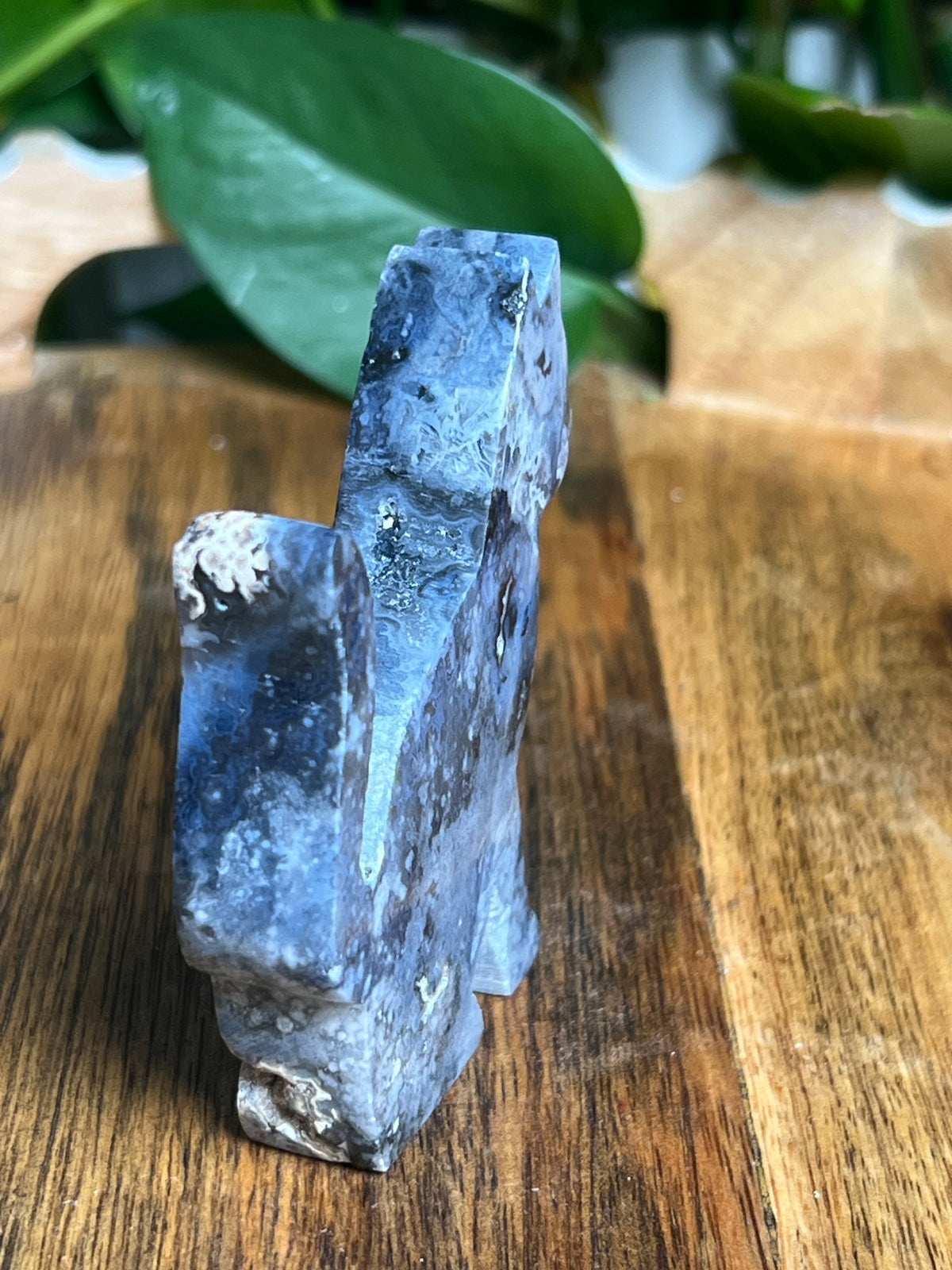 Blue Plume Agate Cat: LB