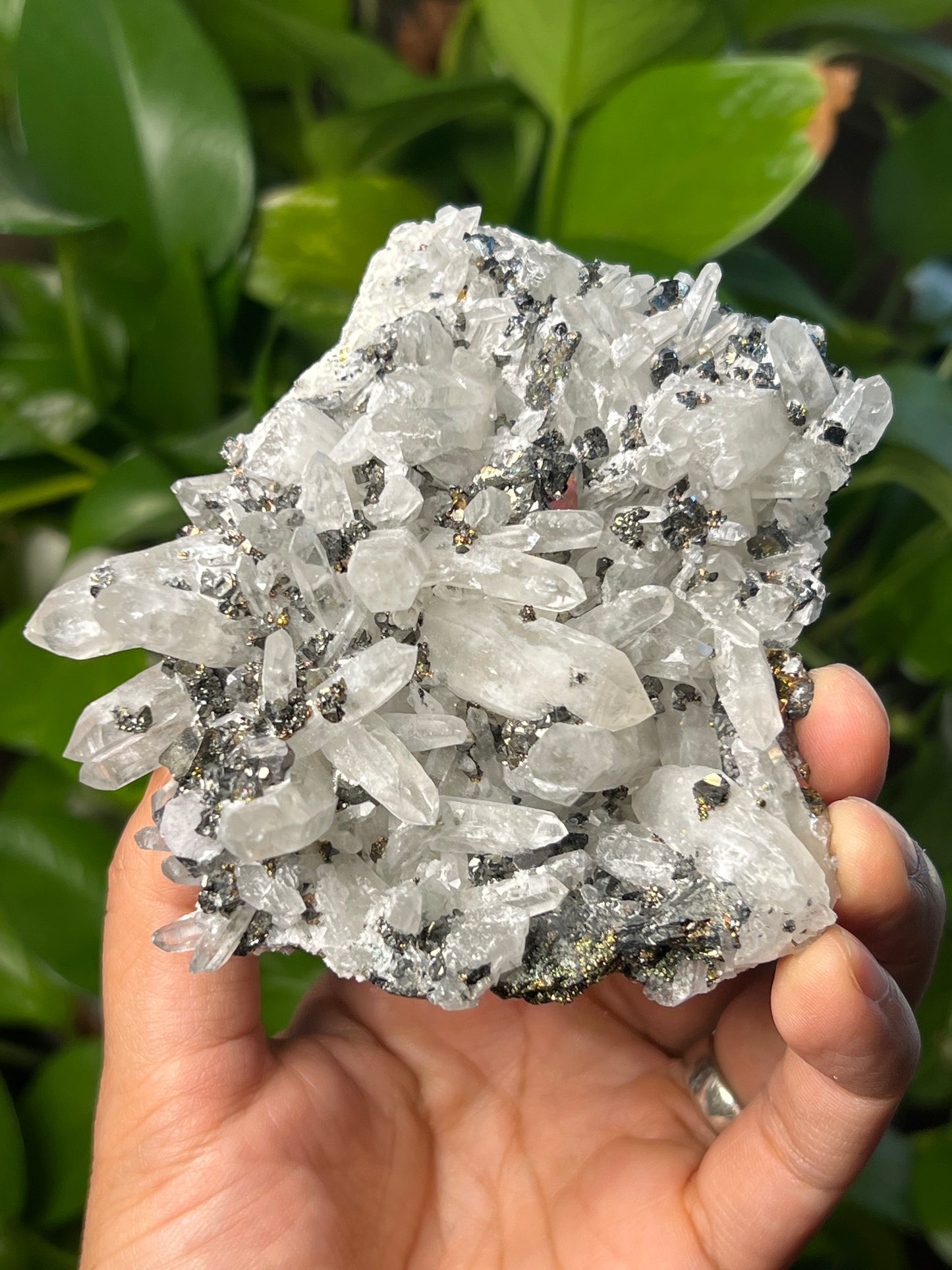 Rainbow Pyrite Quartz