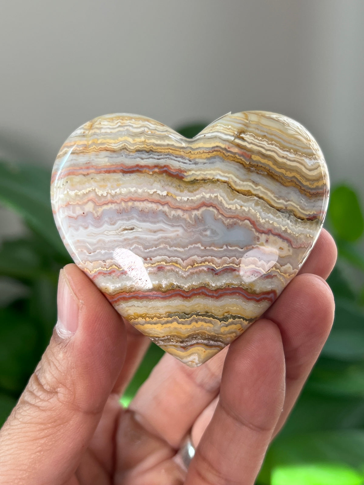Crazy Lace Agate Small Puffy Moons