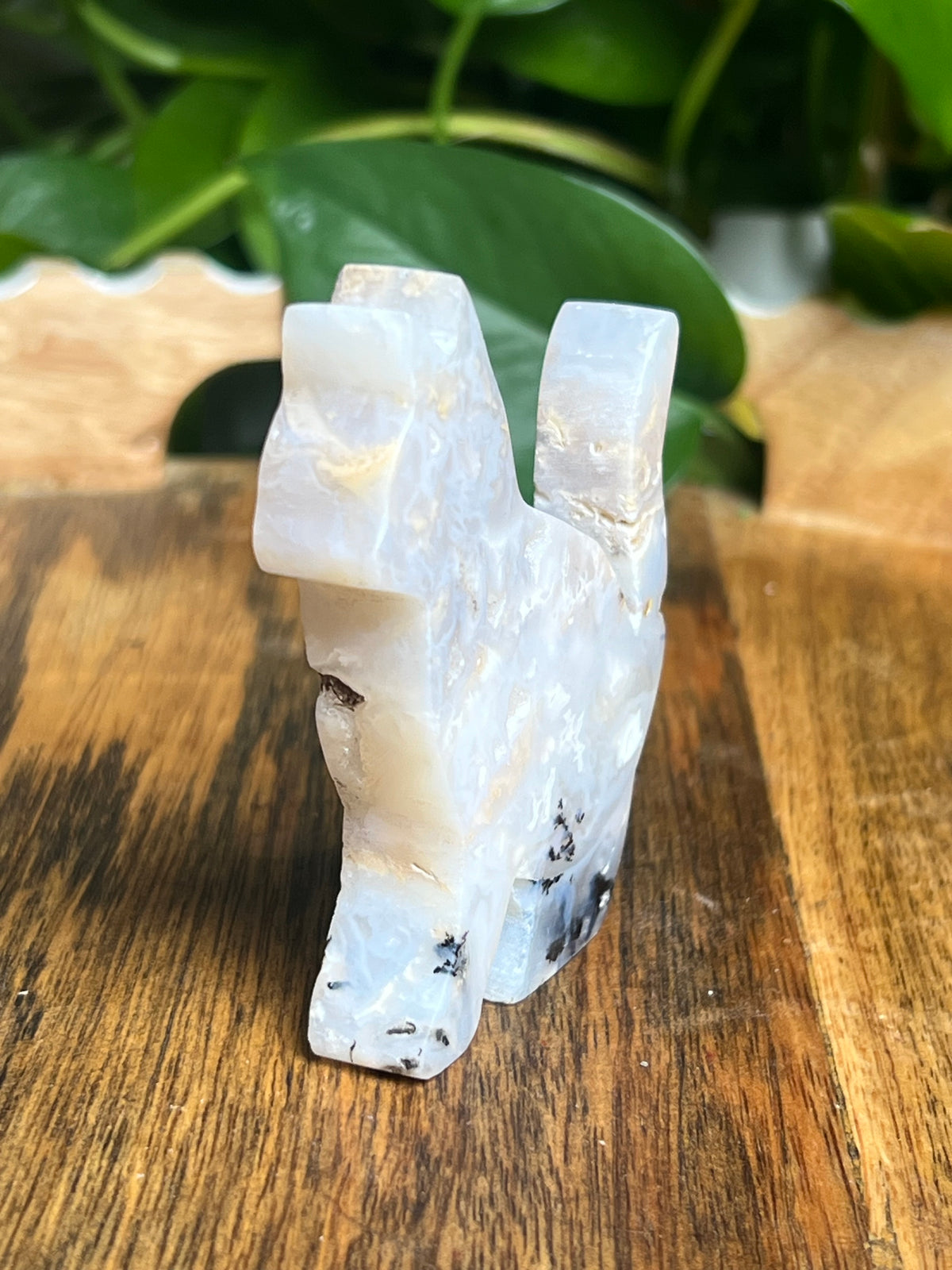 Dendritic Tiger Agate Cat: PA