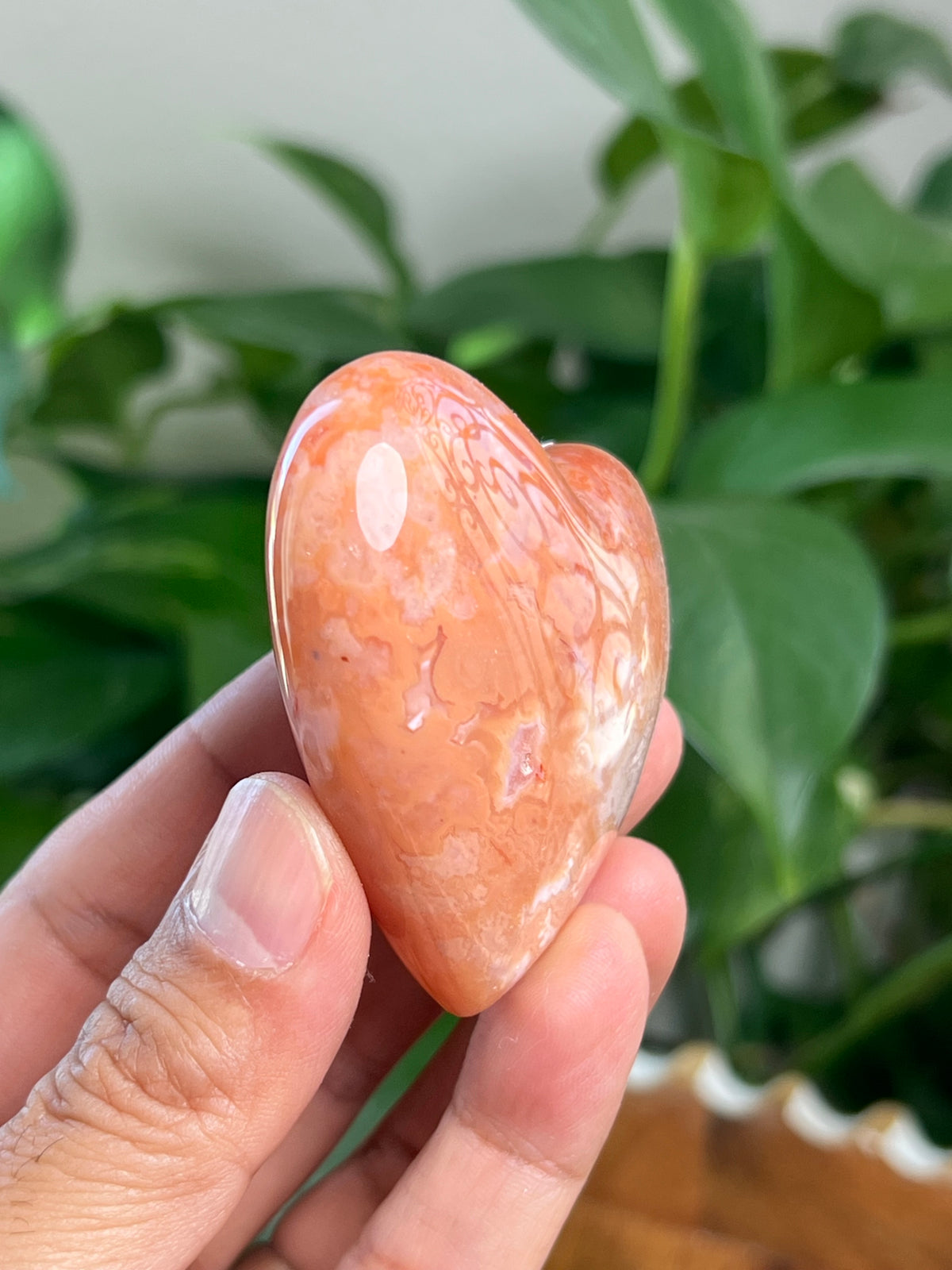 Carnelian Heart: MD