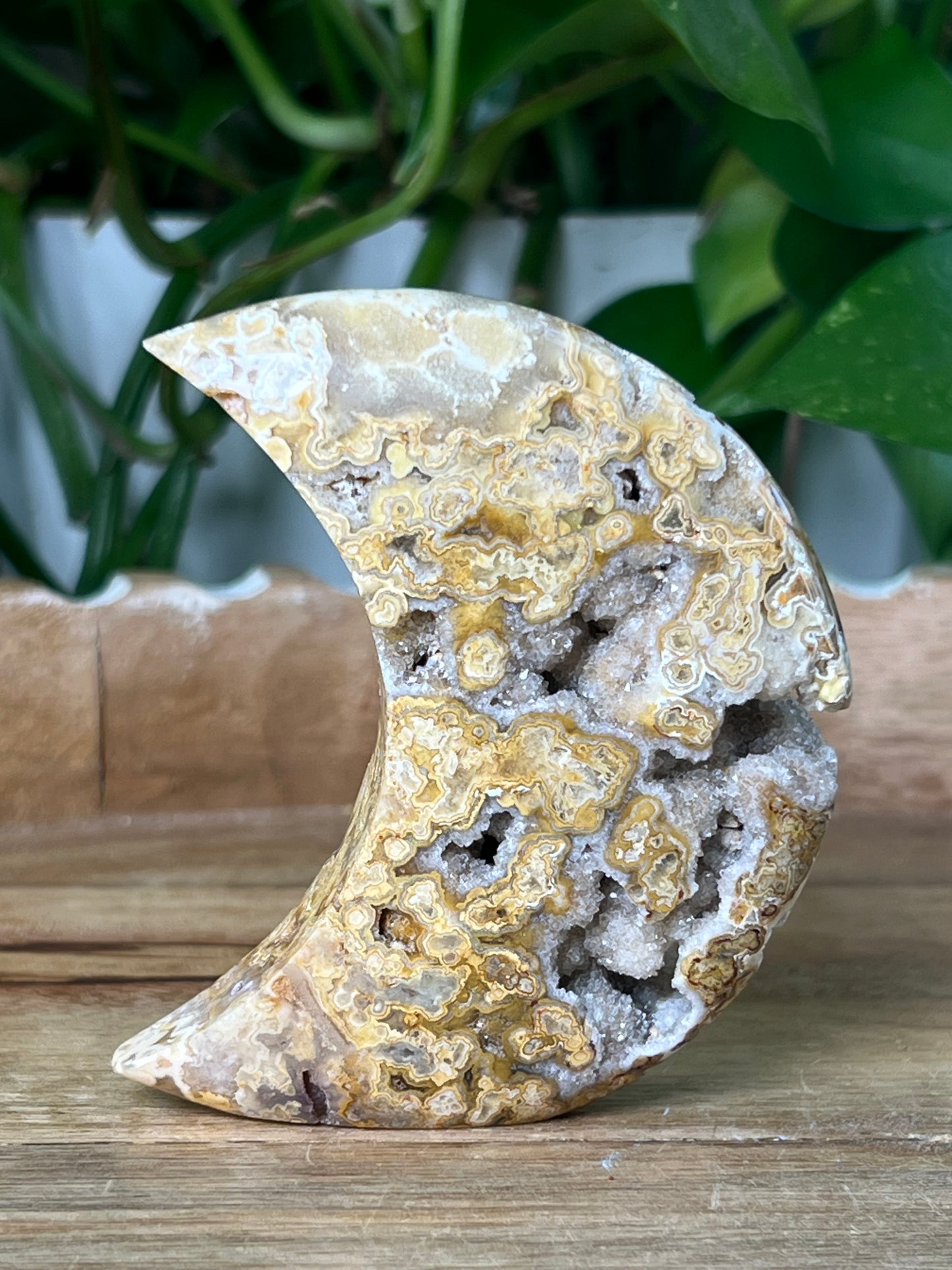 Crazy Lace Agate Moon