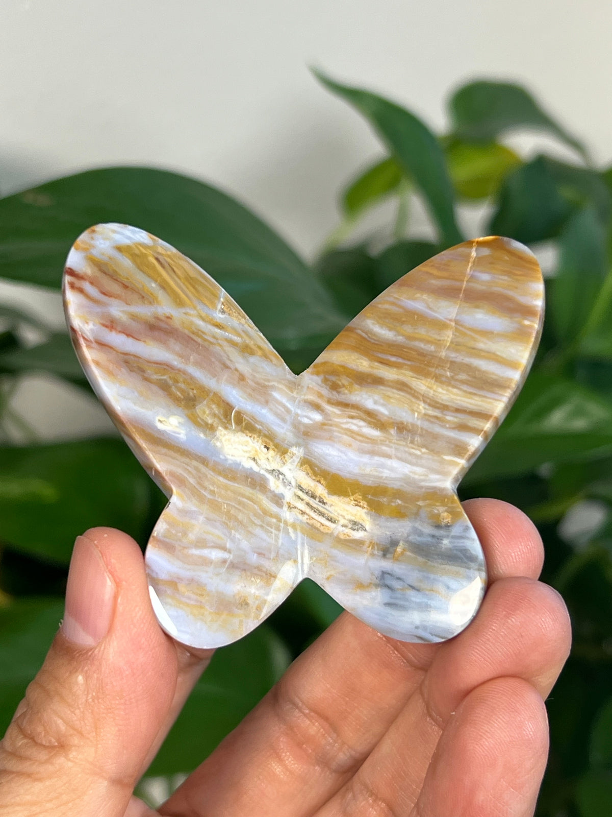 Milky River Jasper 3D Butterflies