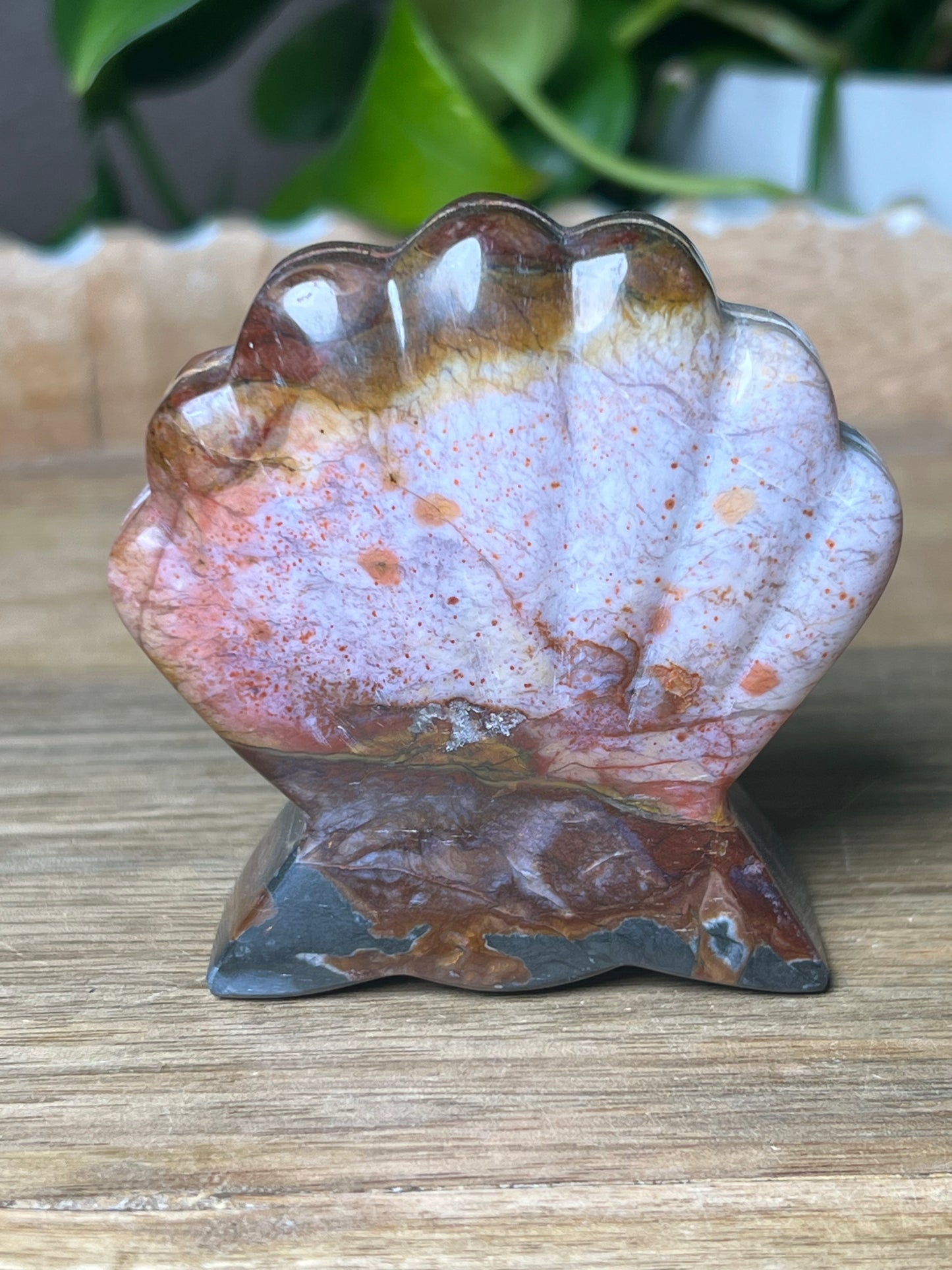 River Jasper Shell