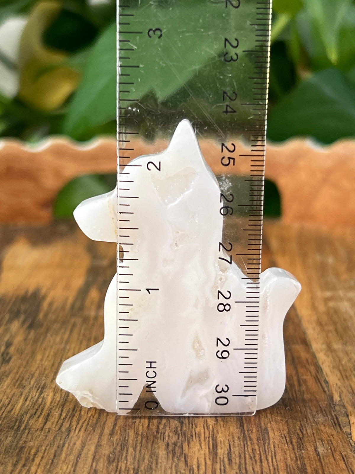 White Plume Agate Dogs