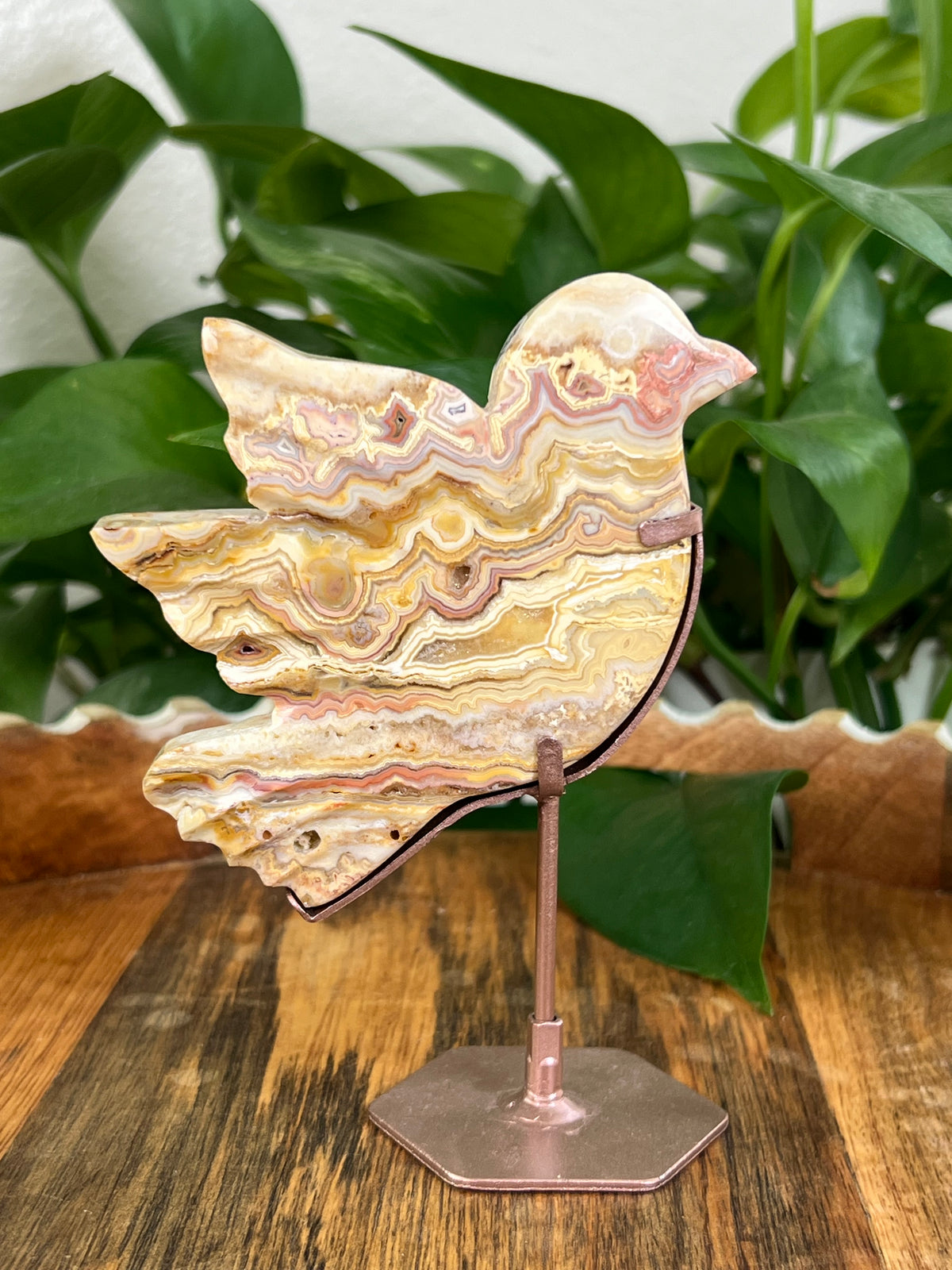 Crazy Lace Agate Birds