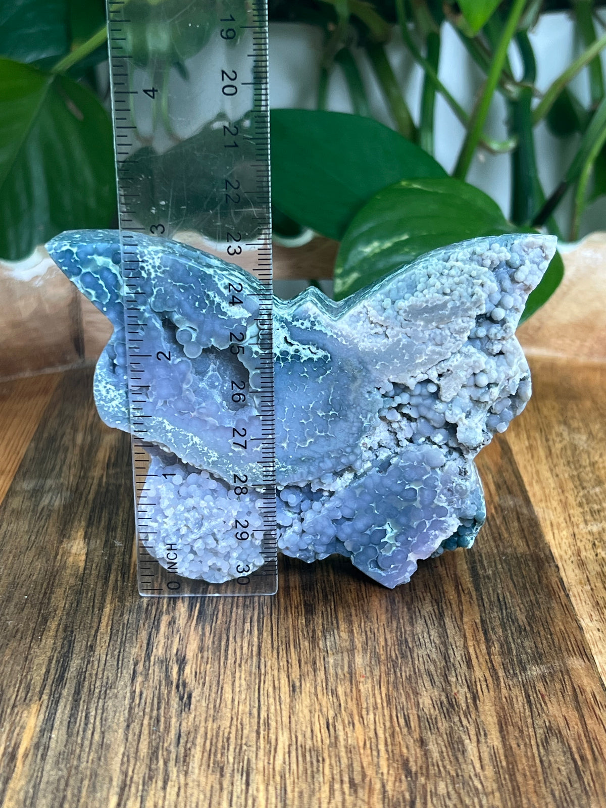 Grape Agate Butterfly: D