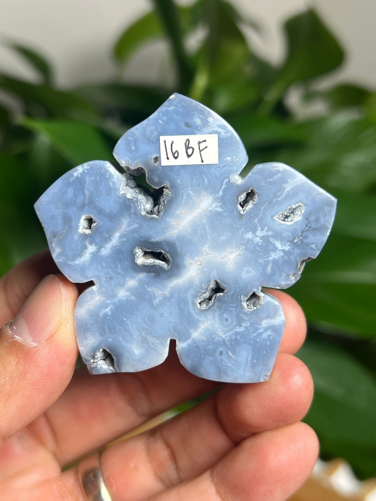 Blue Plume Agate Flower: BF