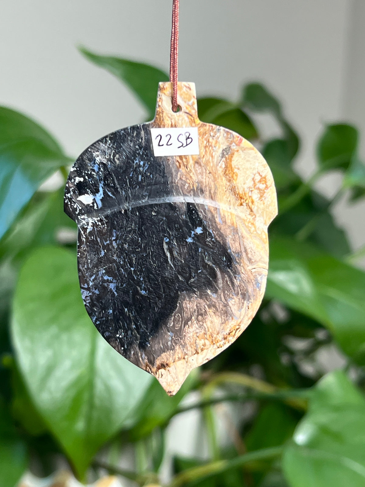 Palm Root Acorn Ornaments
