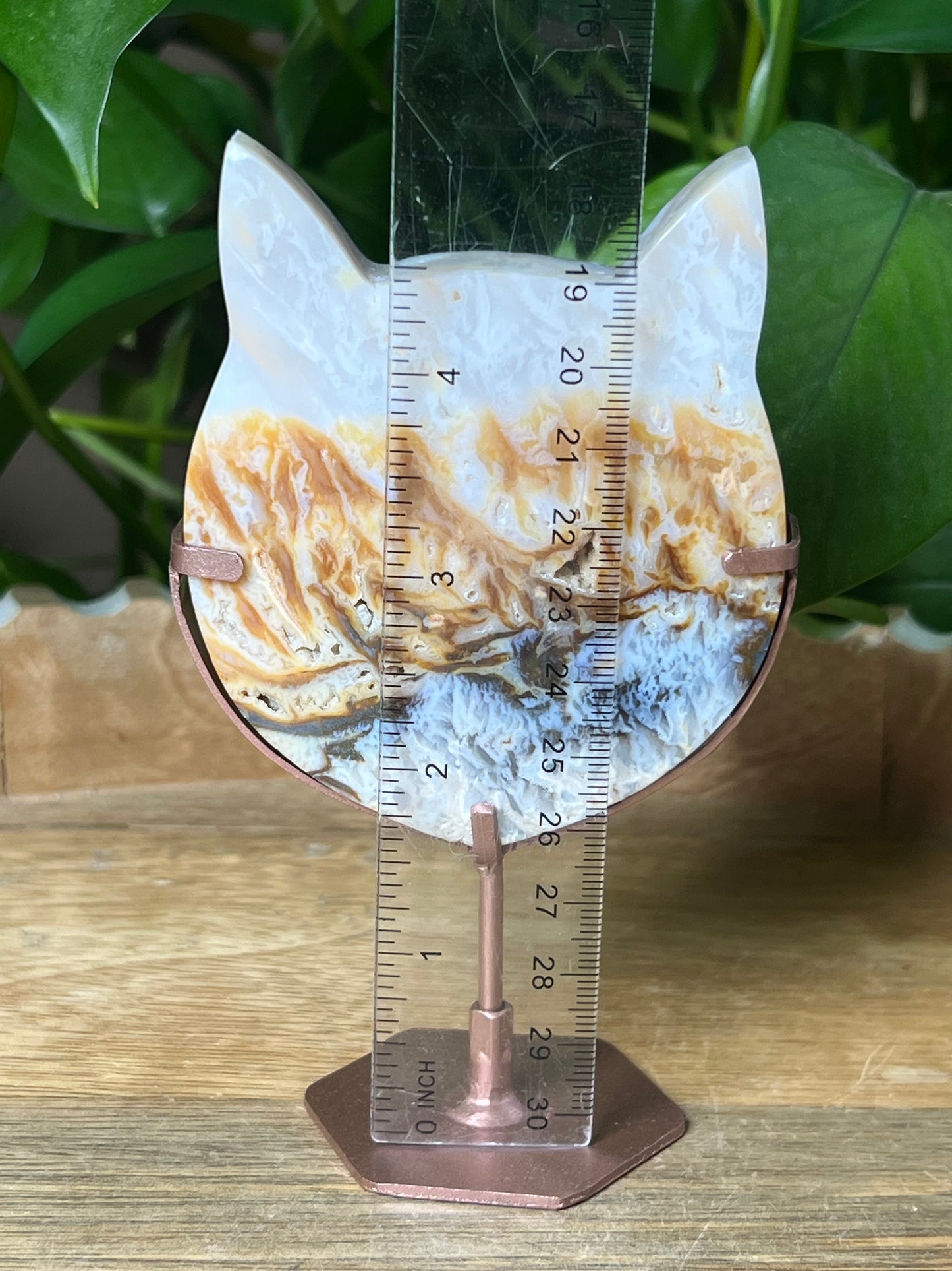 Rainbow Plume Agate Cat Head