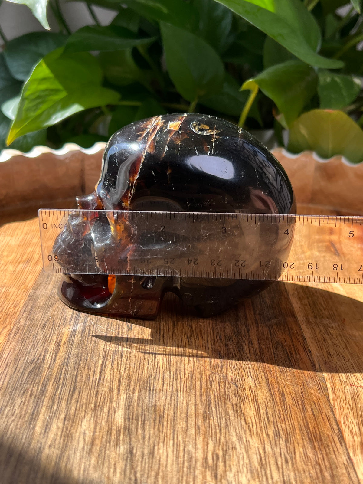 Blue Amber Skull: NB