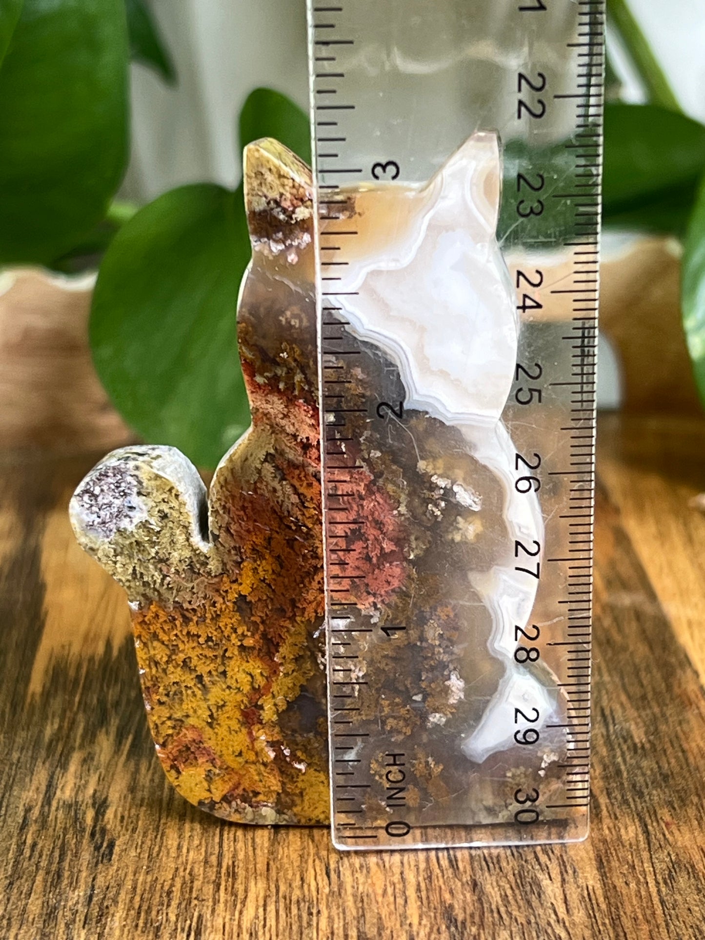 Scenic Moss Agate Cat HF