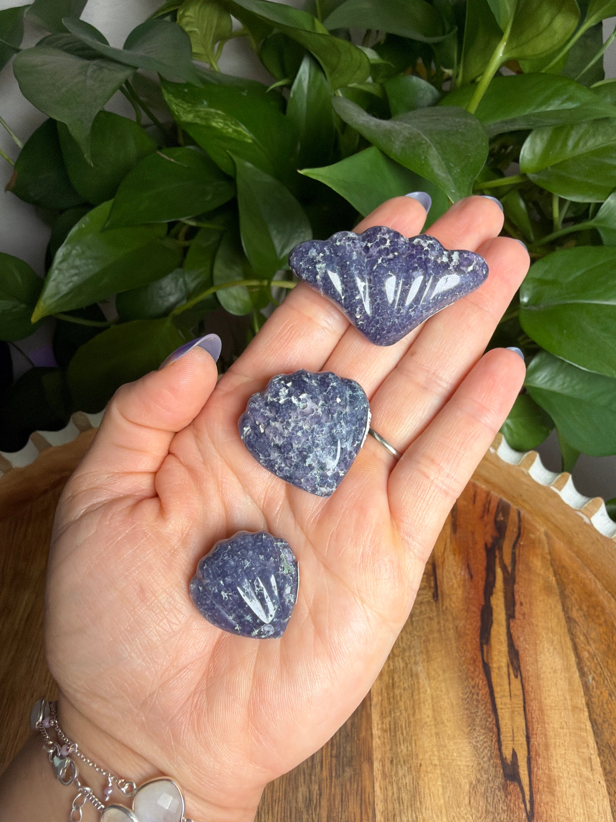 Grape Agate Shells