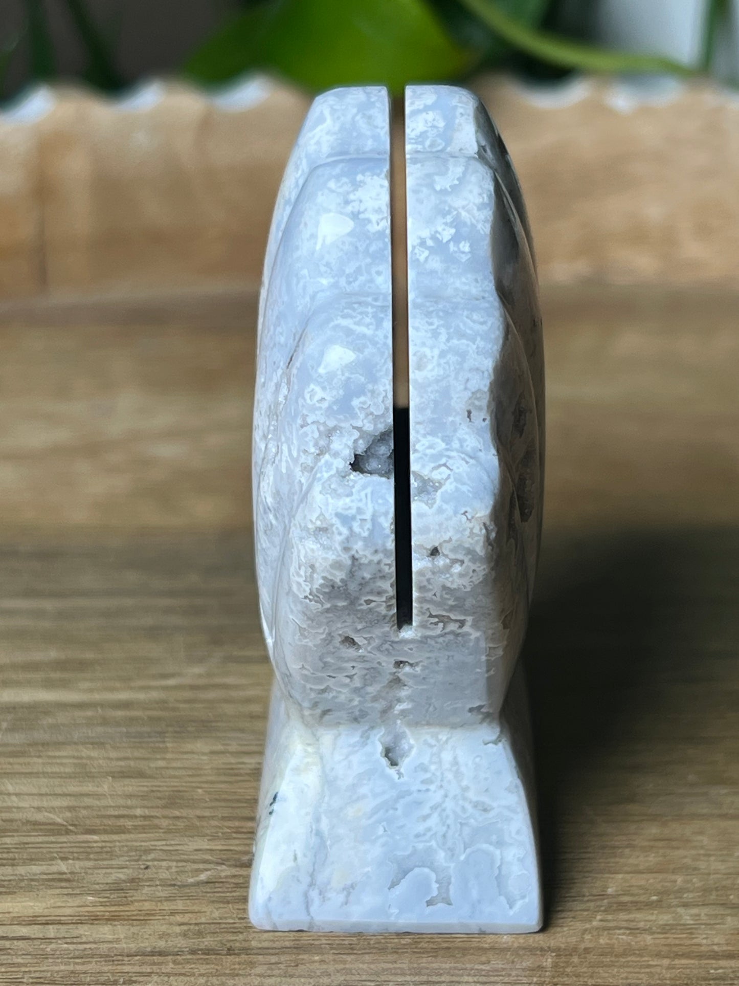 Blue Plume Agate Shell