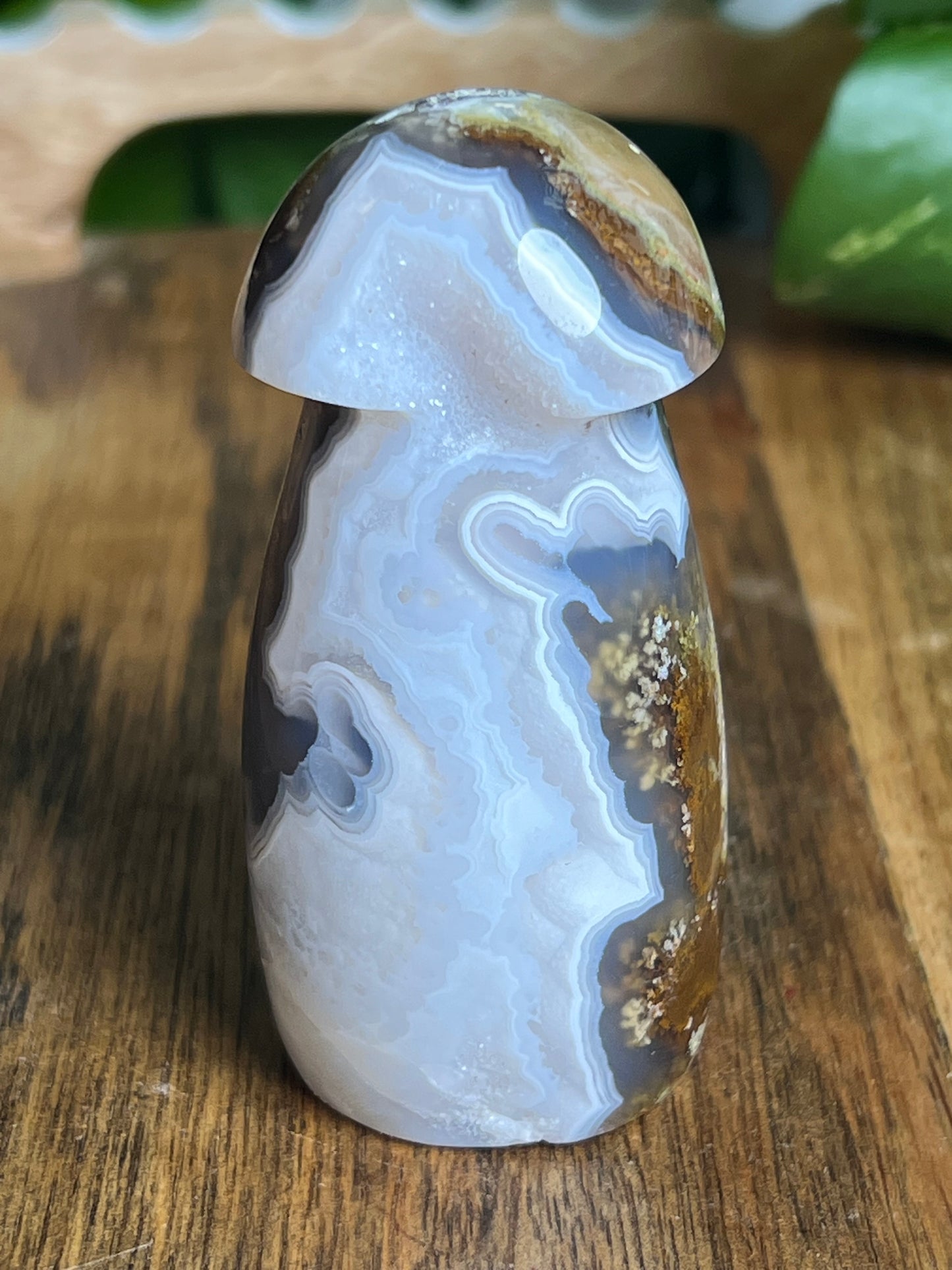 Scenic Moss Agate Mushroom
