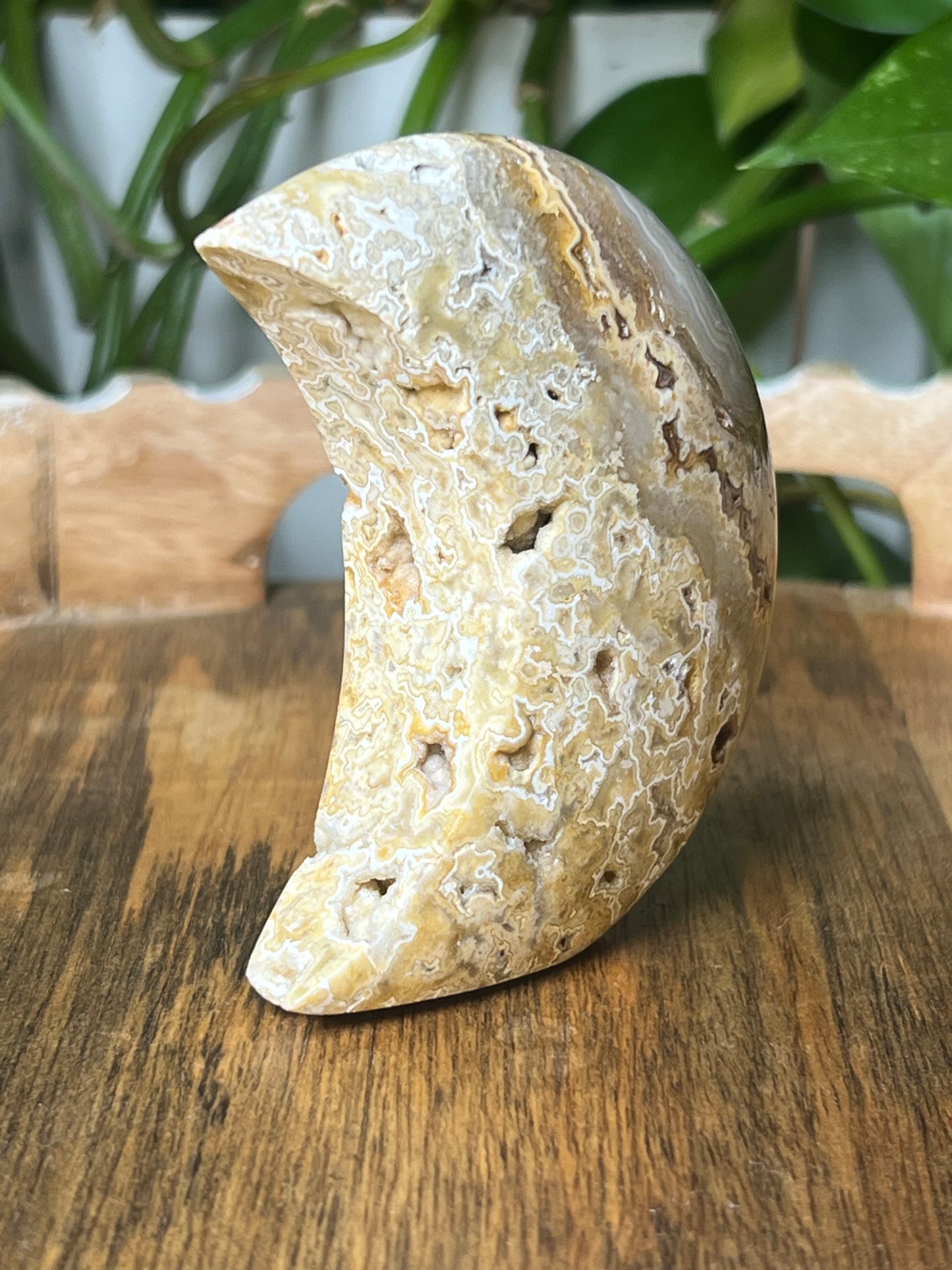 Yellow Crazy Lace Agate Moon