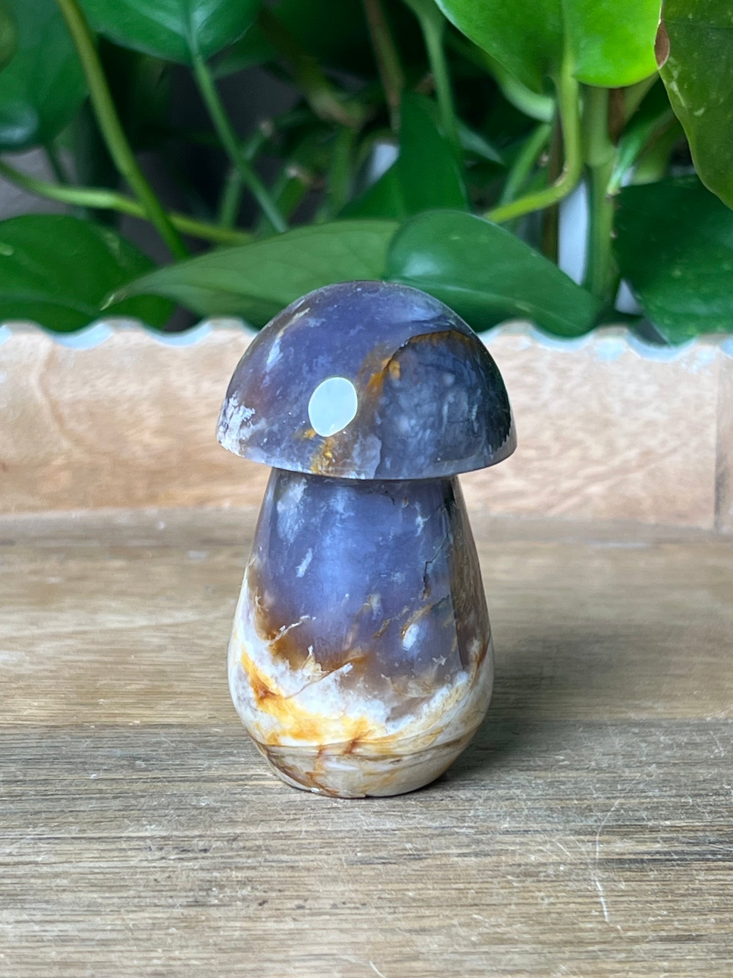 Purple Chalcedony Mushroom