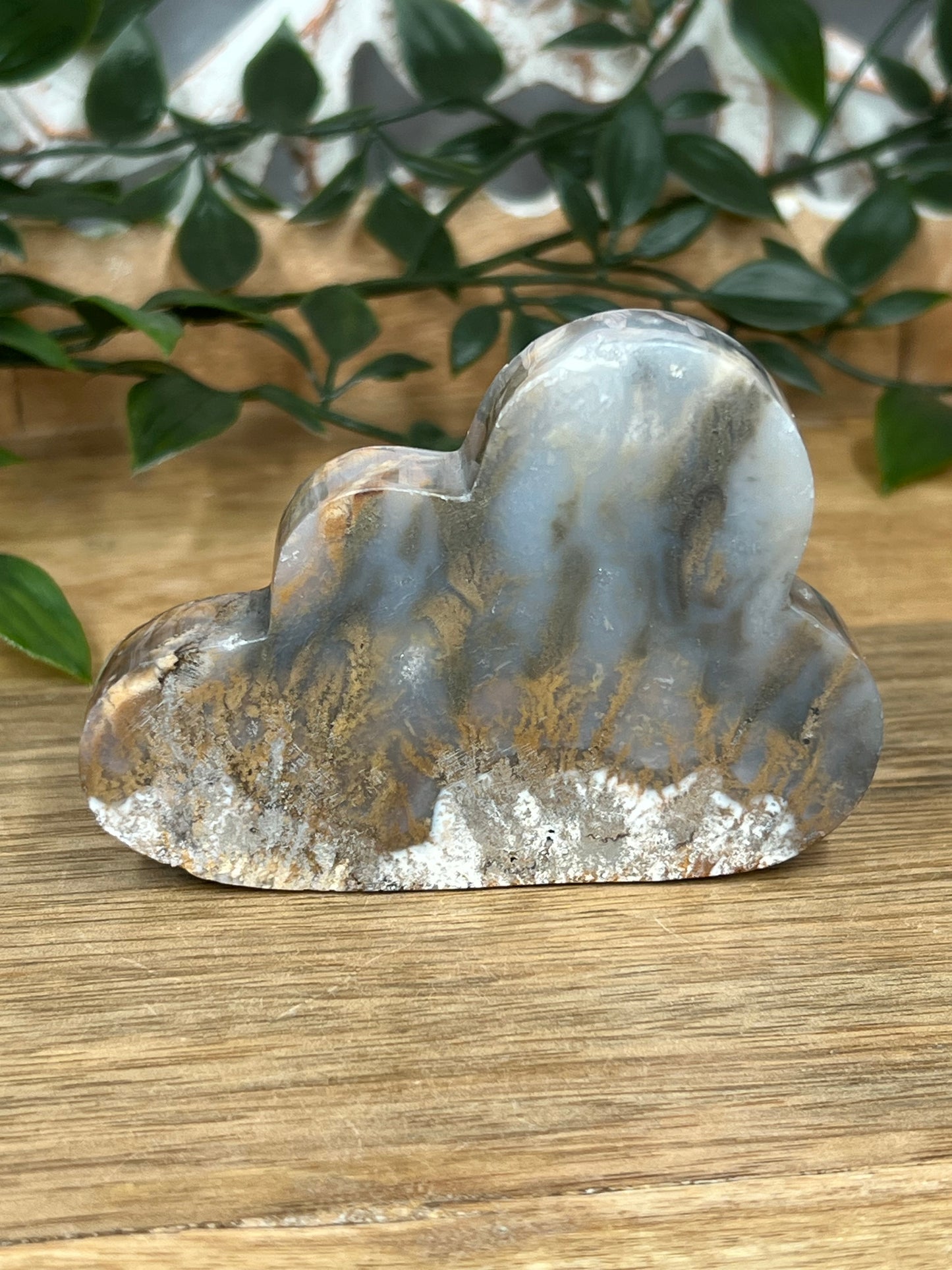Dendritic Tiger Agate Cloud