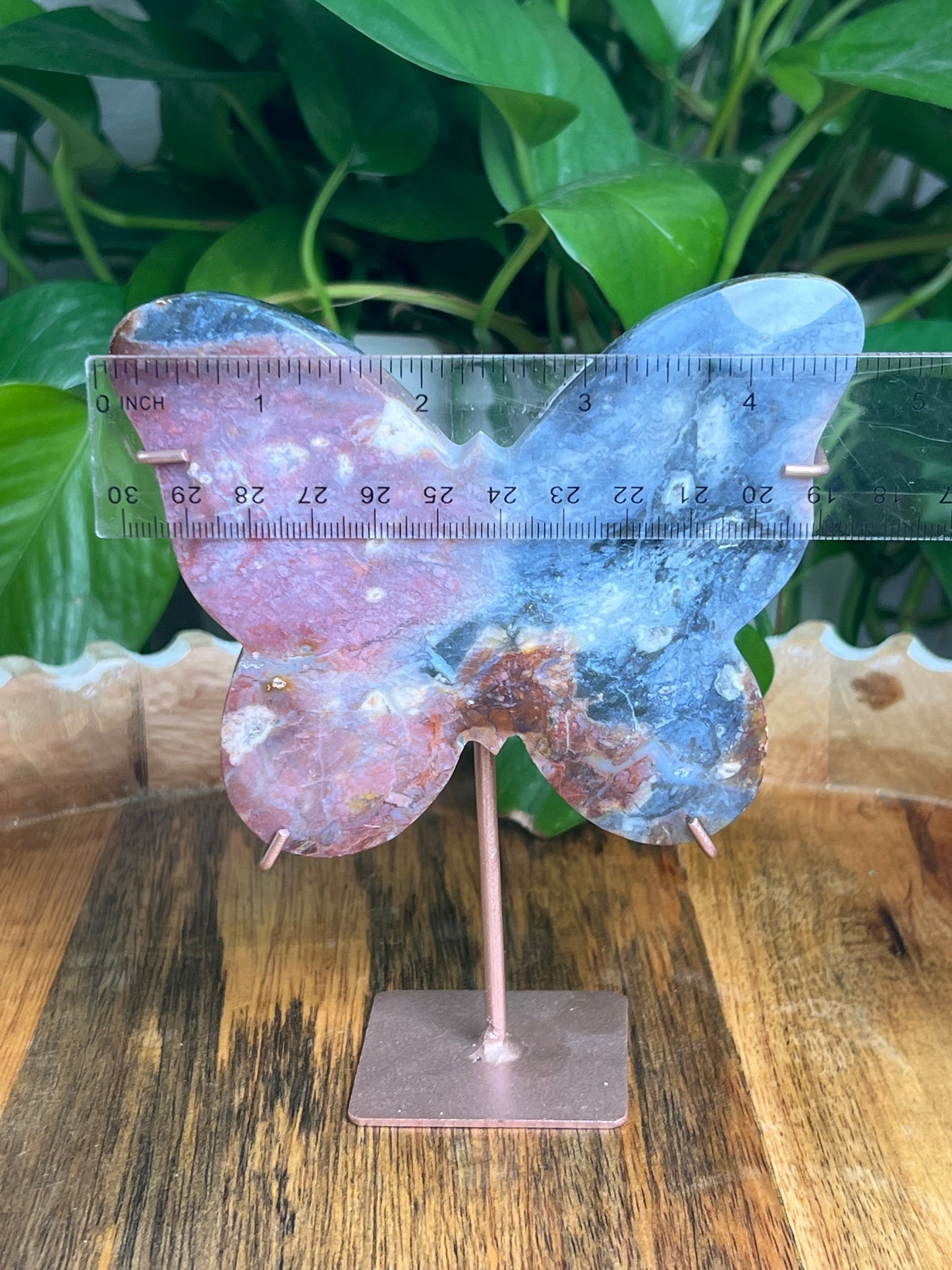 River Jasper Butterfly: KB
