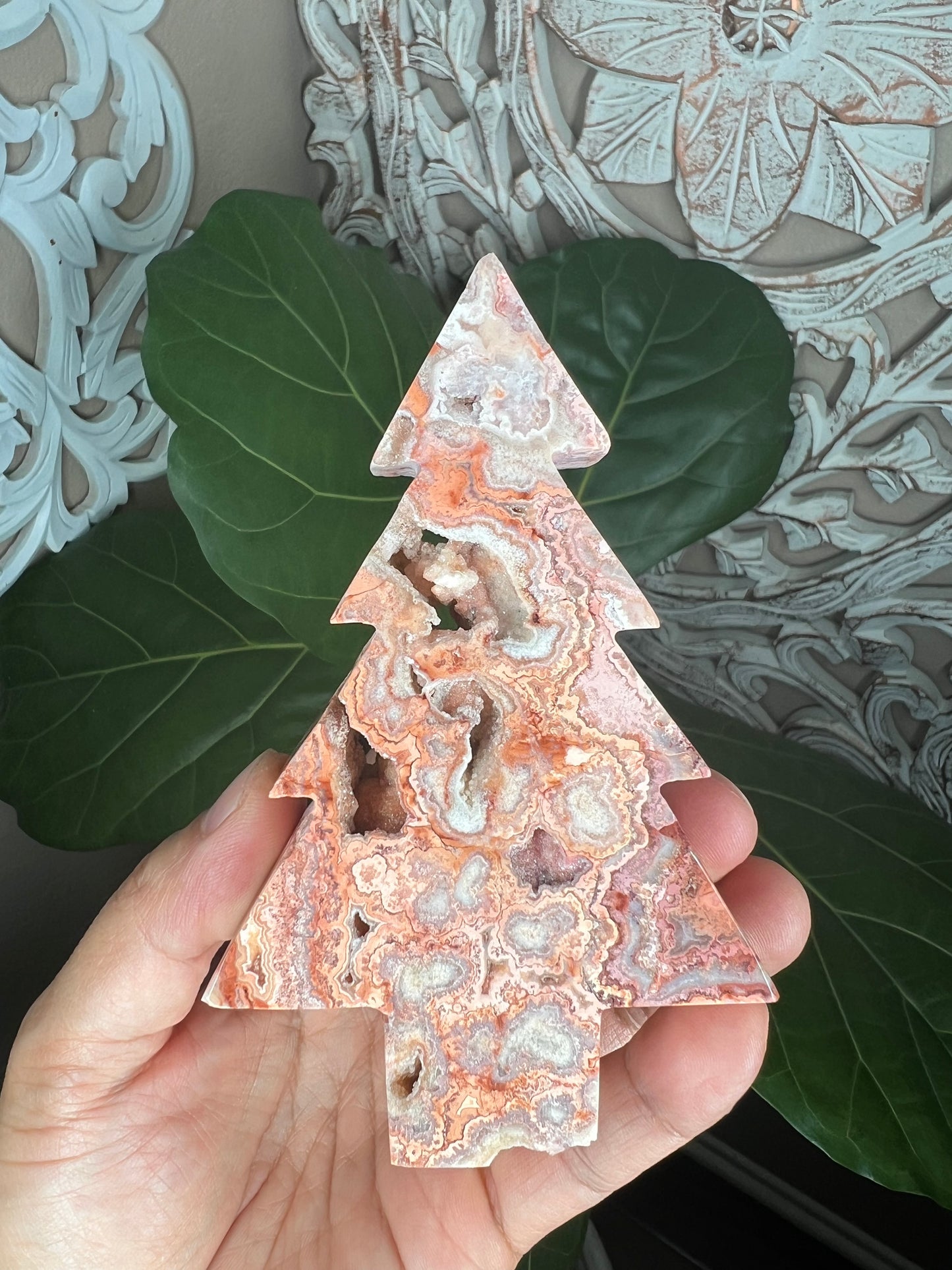 Crazy Lace Agate Tree