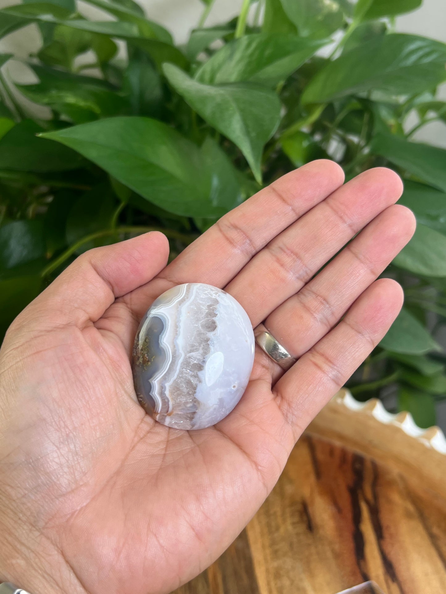 Scenic Moss Agate Palmstone: QB
