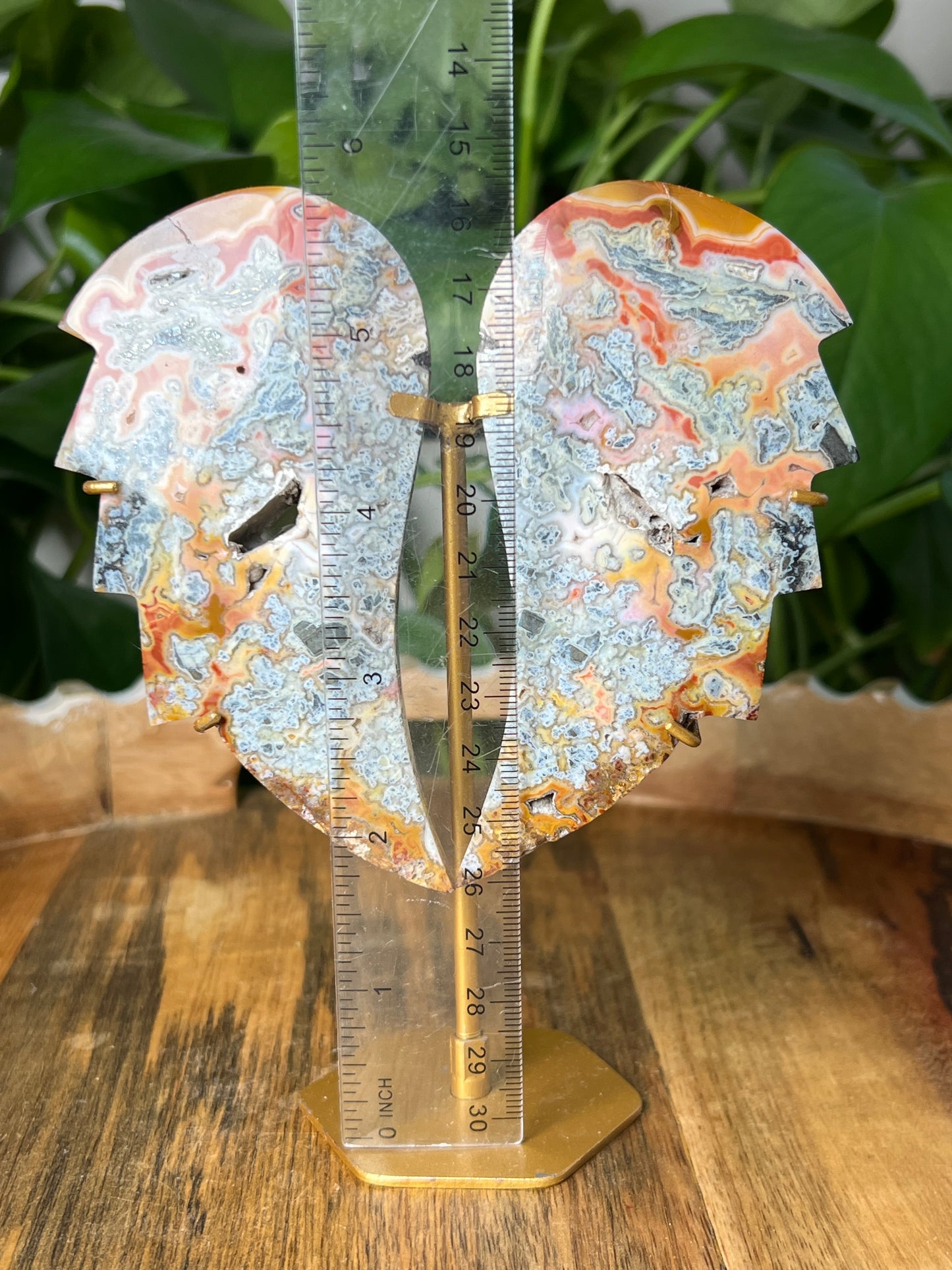 Marcasite Wings