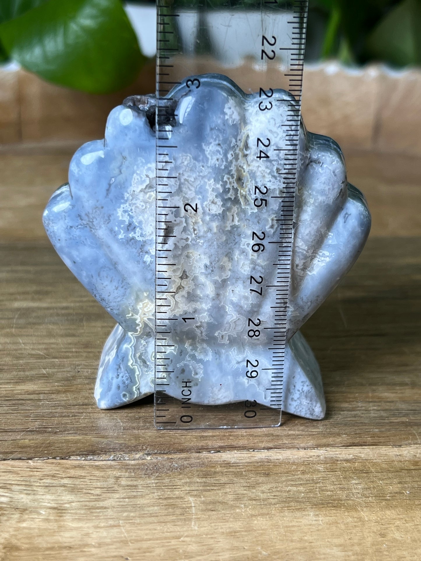 Blue Plume Agate Shell