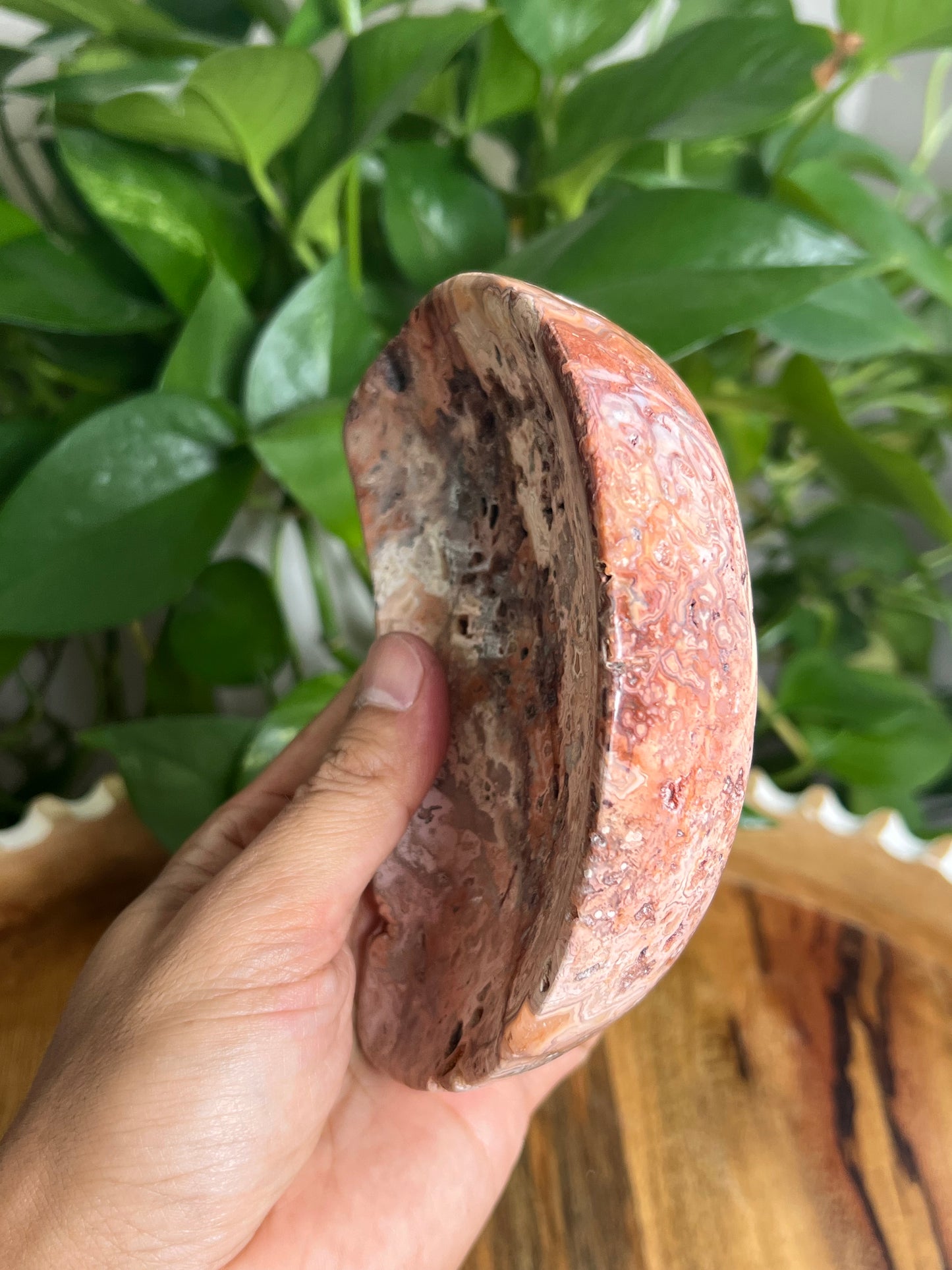Crazy Lace Agate Moon Bowl: B