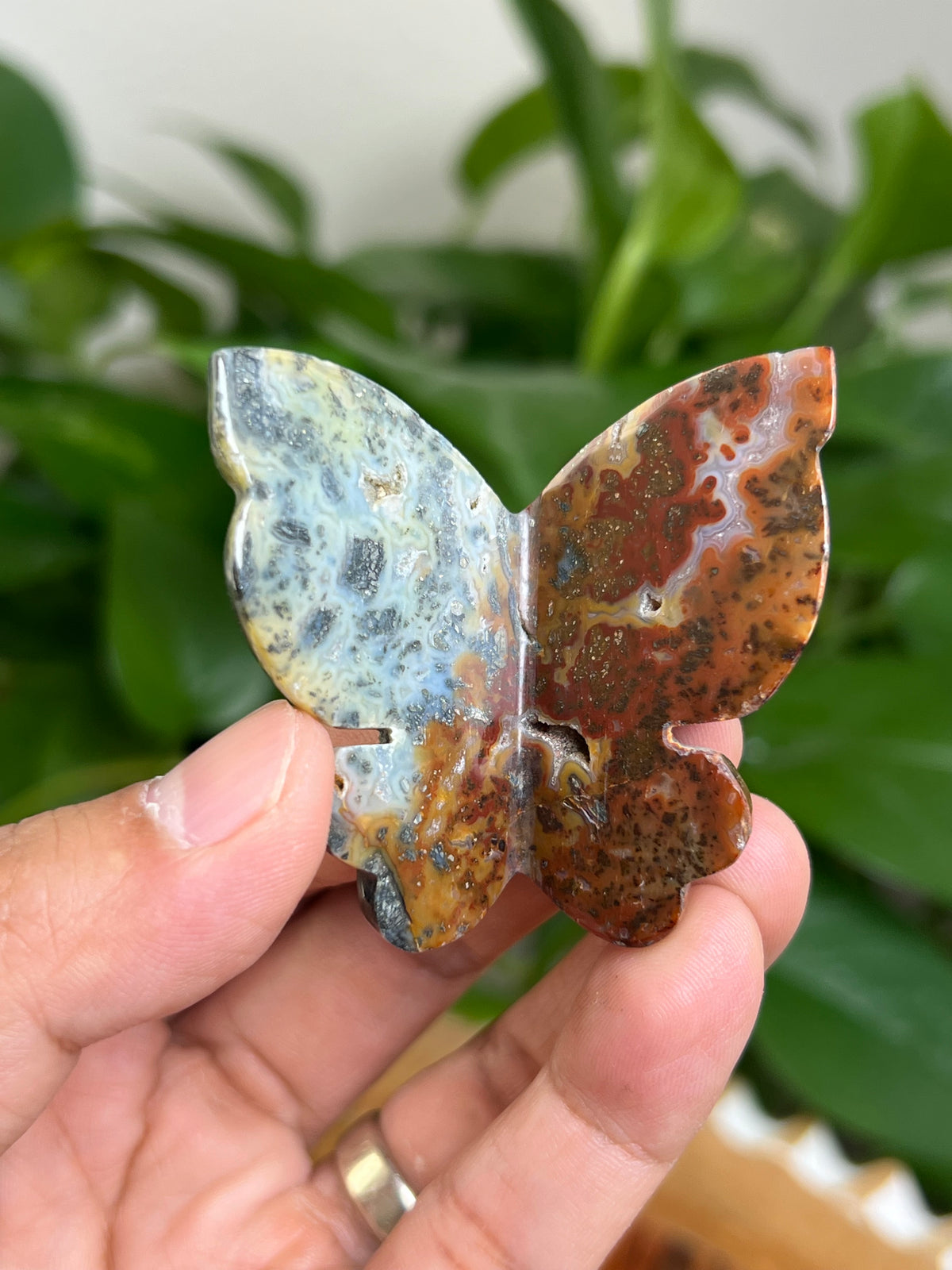 Marcasite 3D Butterfly: MA