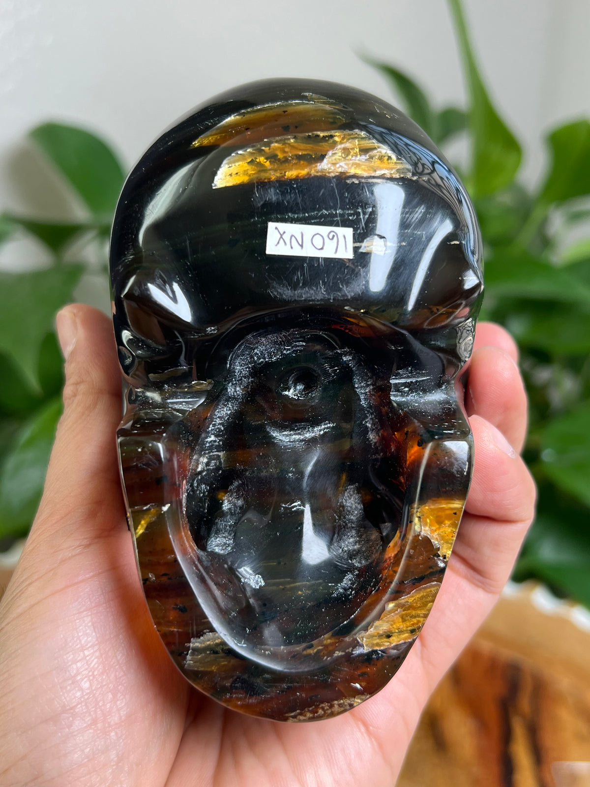 Blue Amber Skull: NX