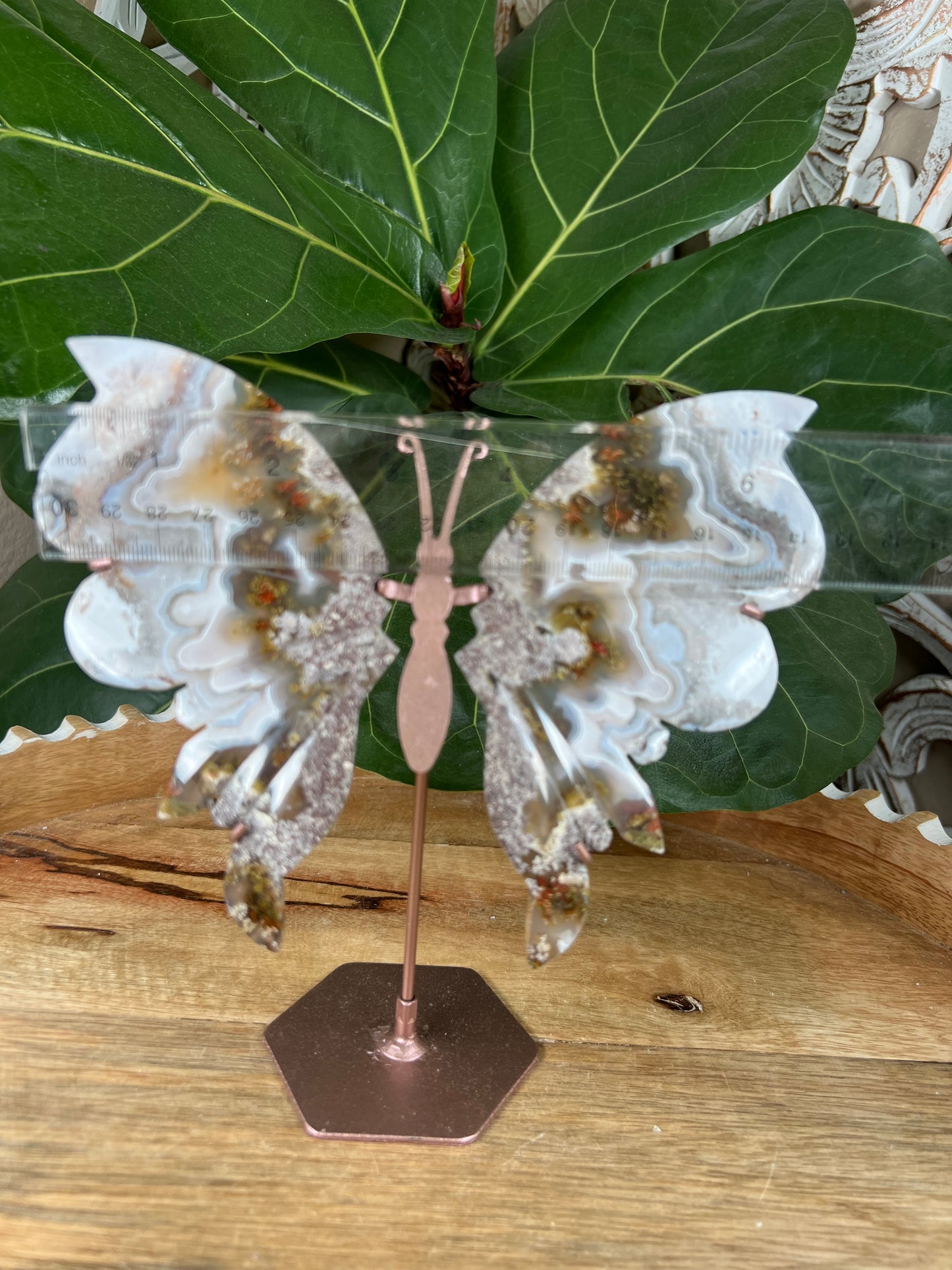 Scenic moss agate wings