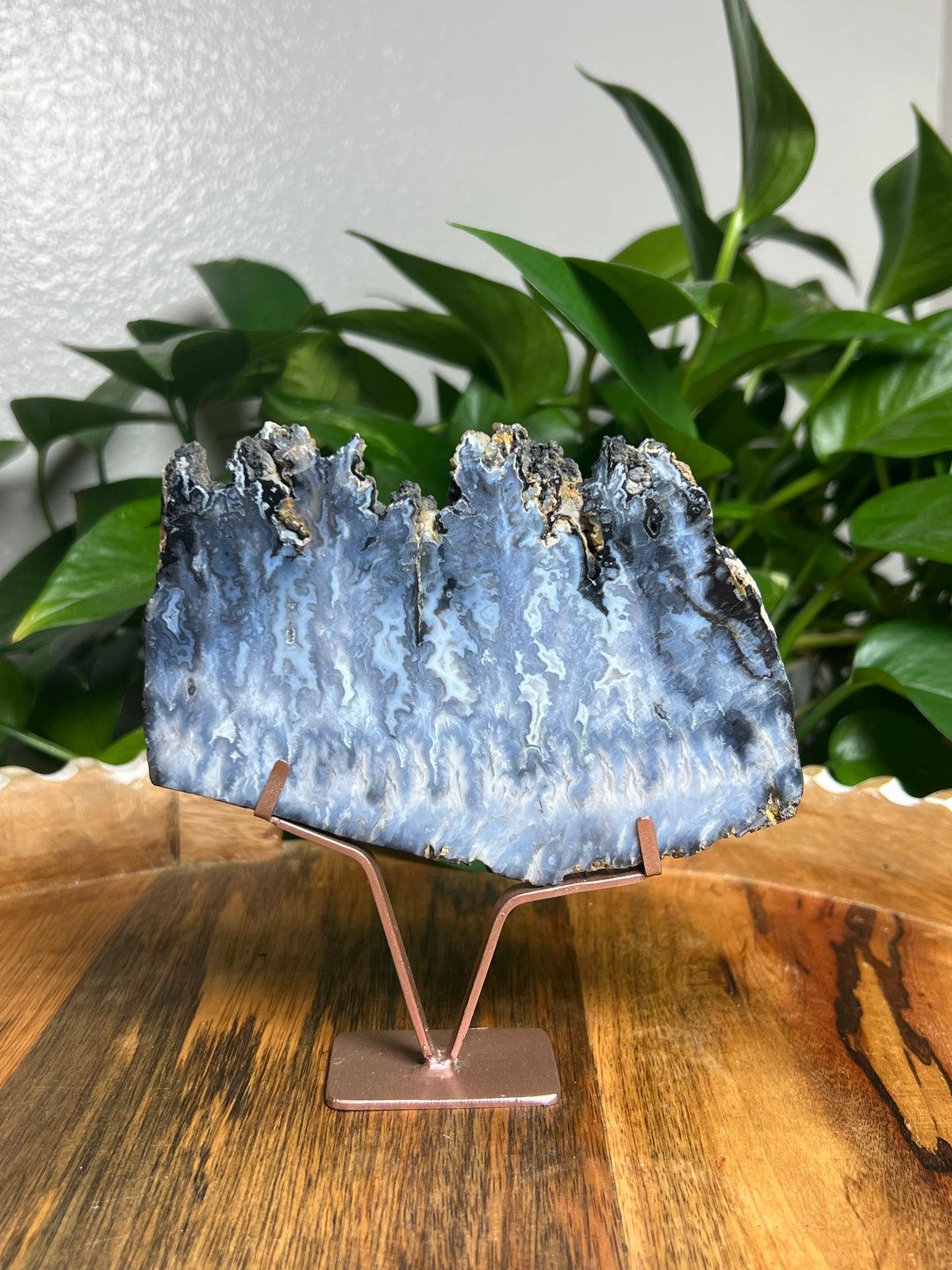 Blue Plume Agate Slab: RS