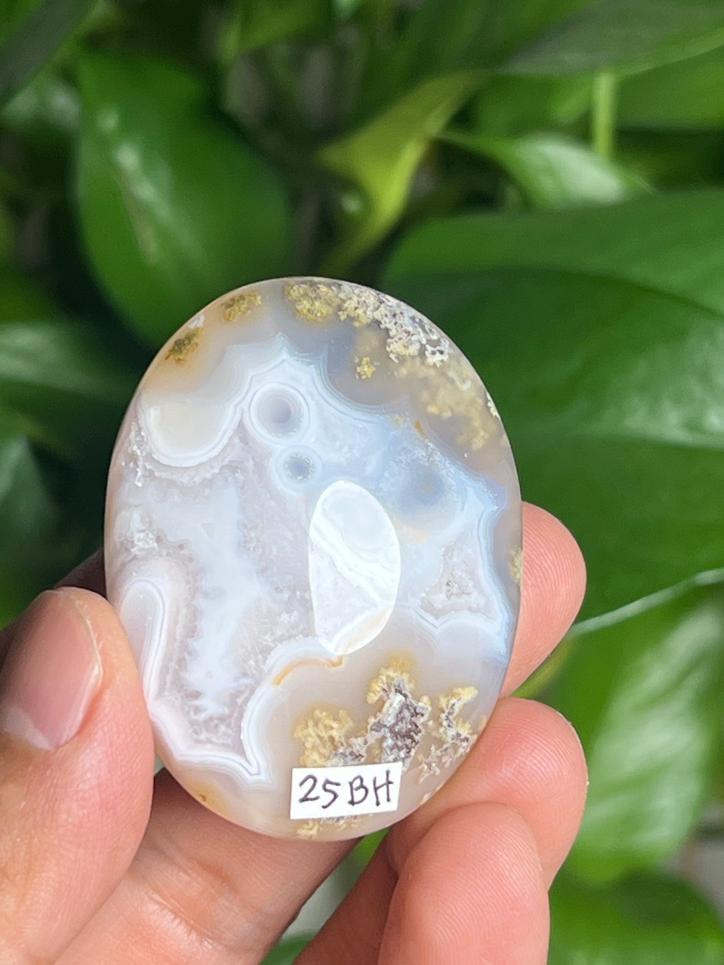 Scenic Moss Agate Palmstone: BH