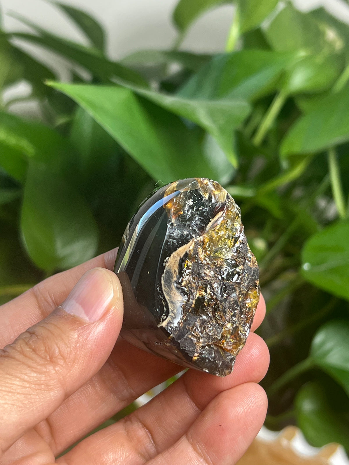Blue Amber Freeform: BA