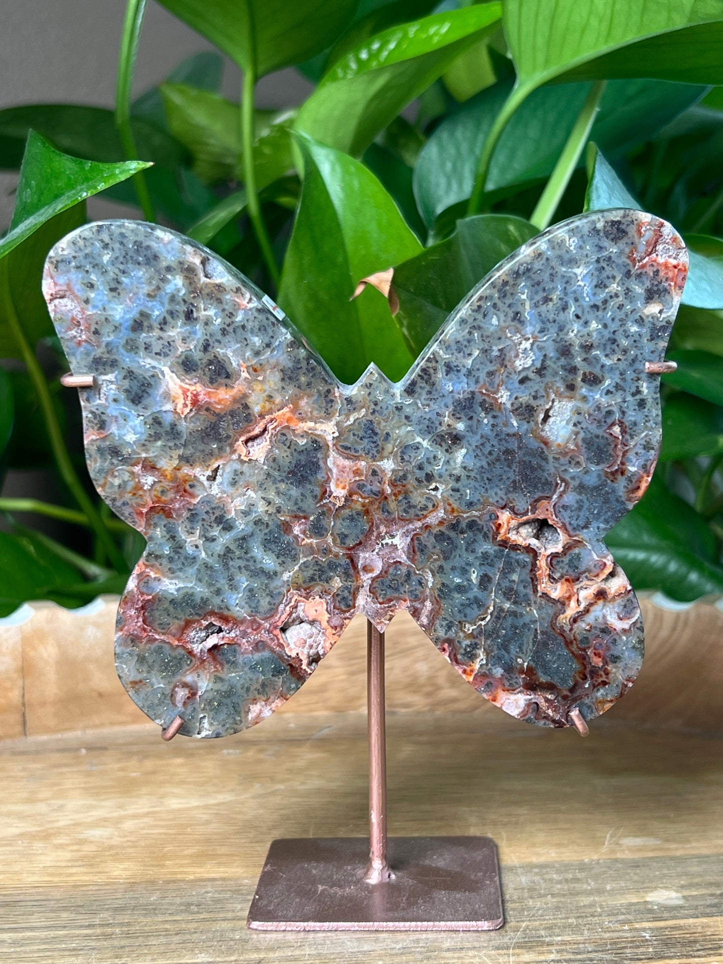 Marcasite Butterfly