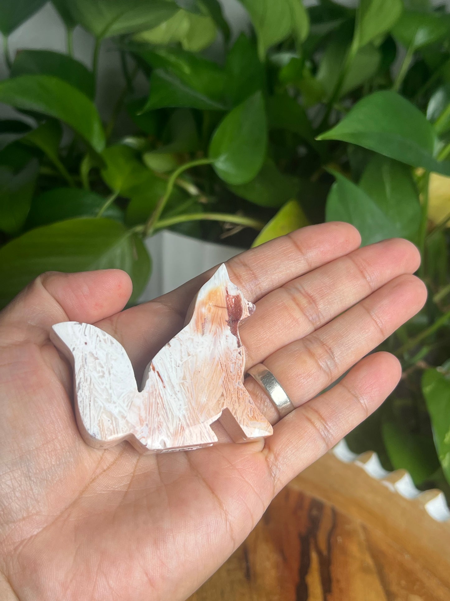 Tube Agate Fox Bi