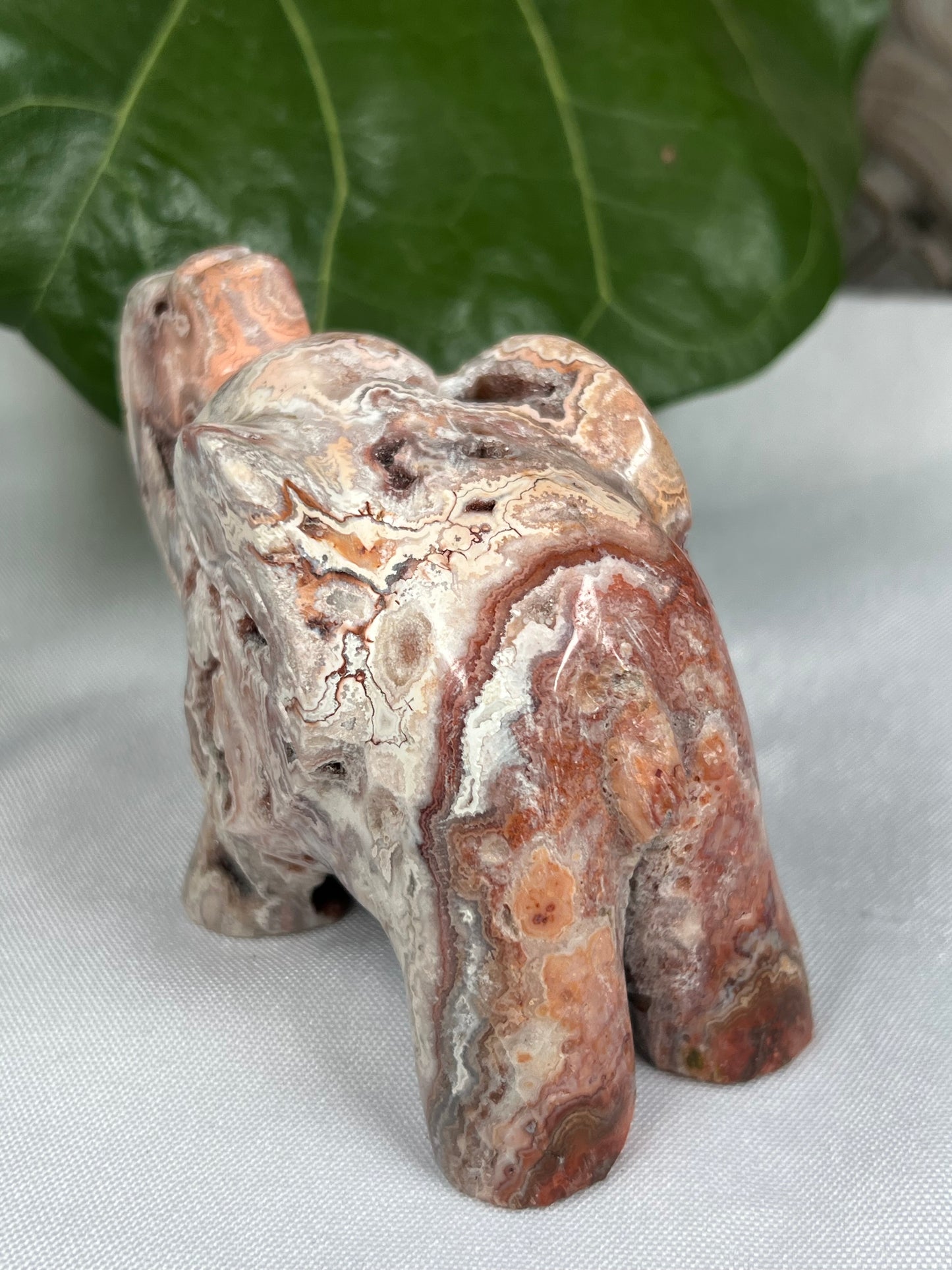 Crazy Lace Agate Elephant