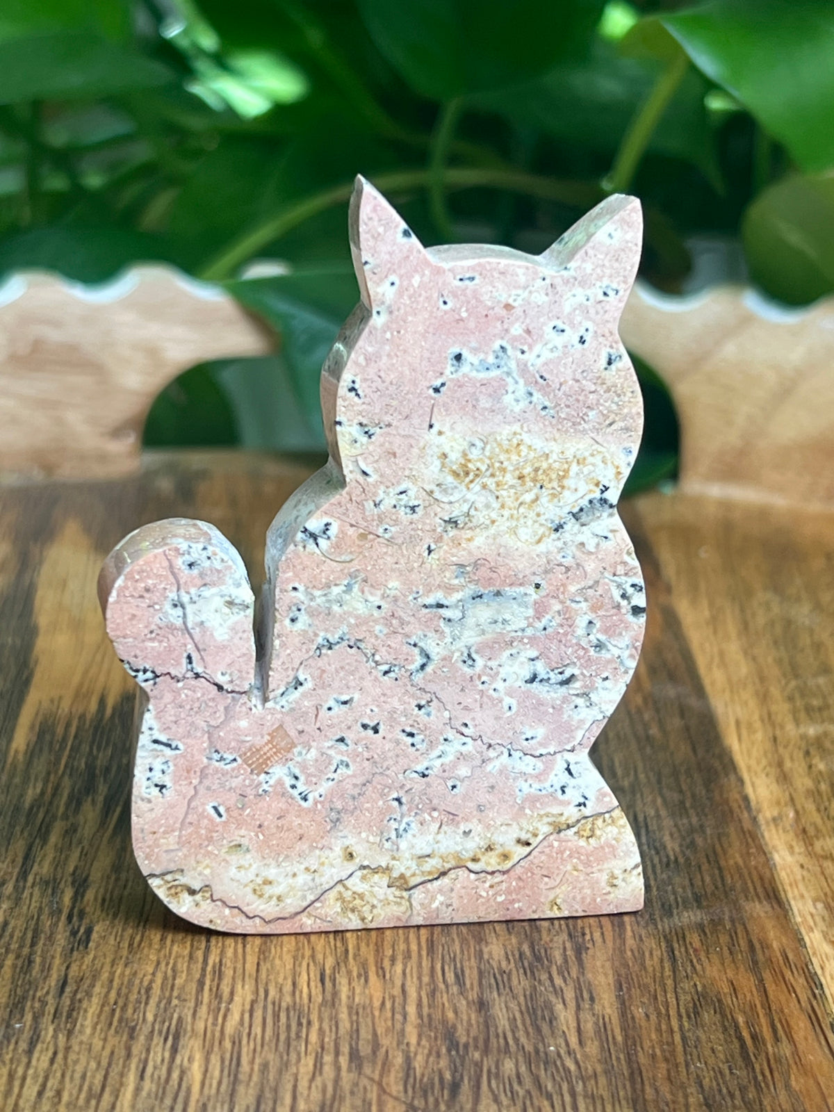Dendritic Jasper Cat: AC