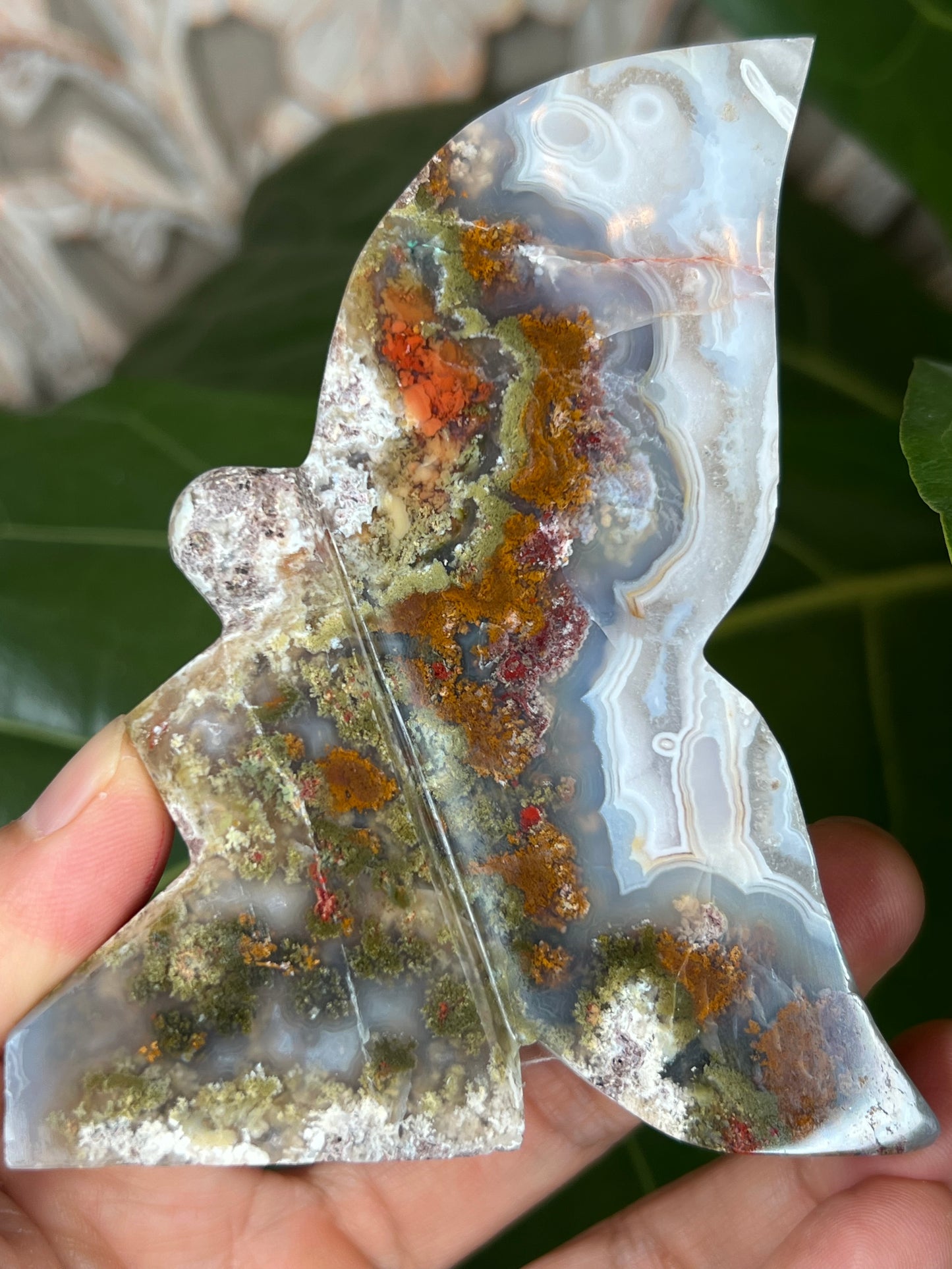 Scenic Moss Agate