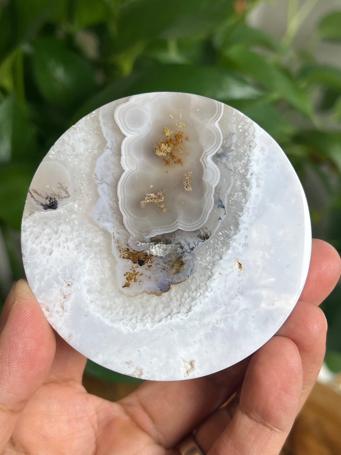 Scenic Moss Agate Coaster: K