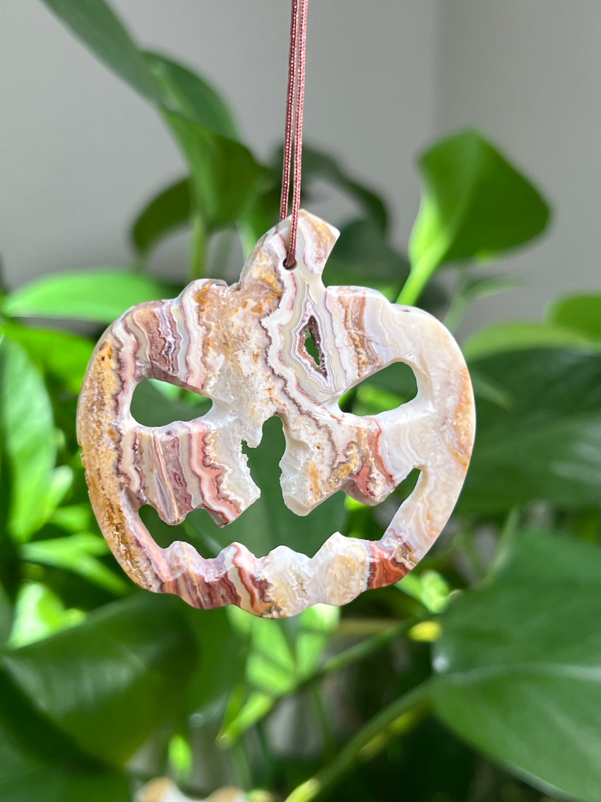 Crazy Lace Agate Ornament Pumpkin:  Pi